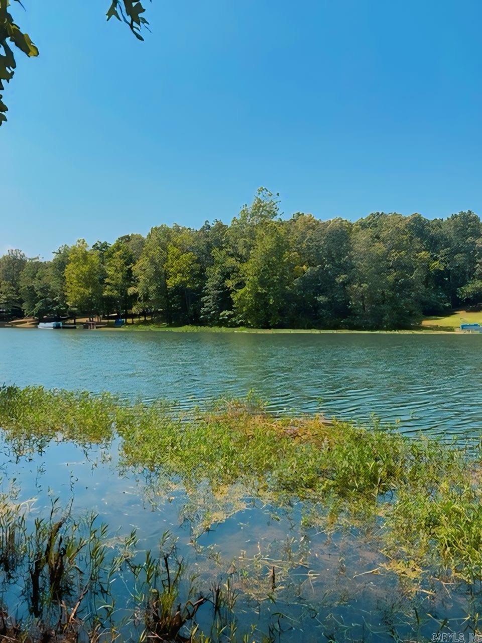 Photo 4 - Vacant Land for sale – Lot 31  Enid   Cherokee Village, AR