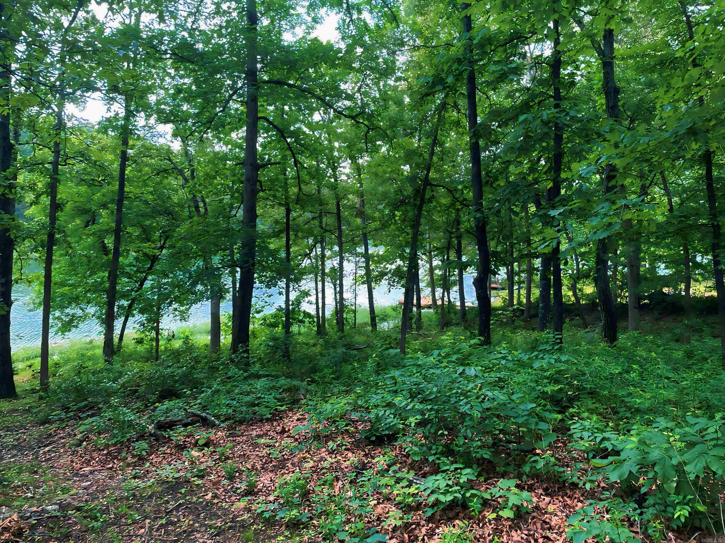 Photo 5 - Vacant Land for sale – Lot 31  Enid   Cherokee Village, AR