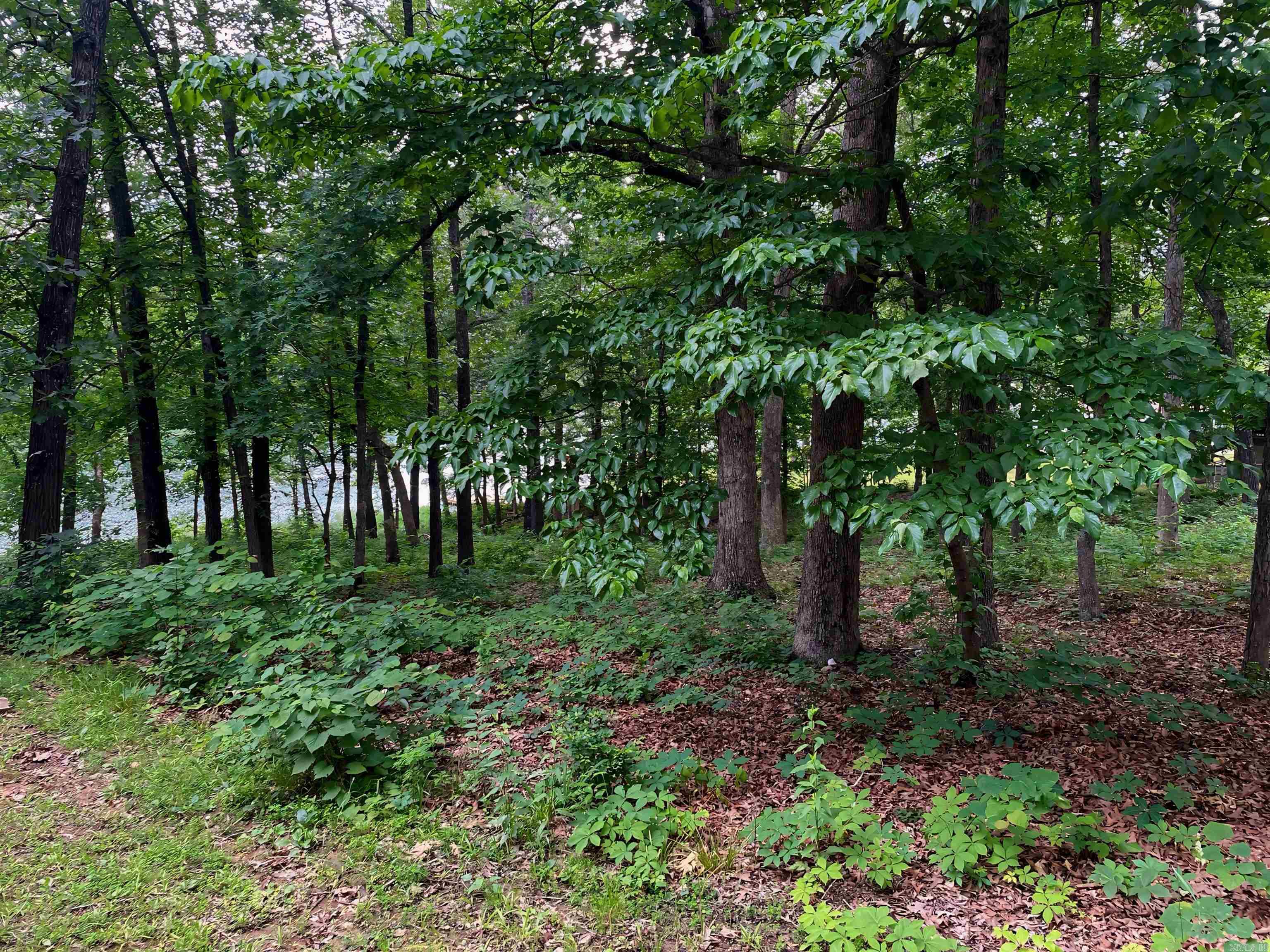 Photo 6 - Vacant Land for sale – Lot 31  Enid   Cherokee Village, AR