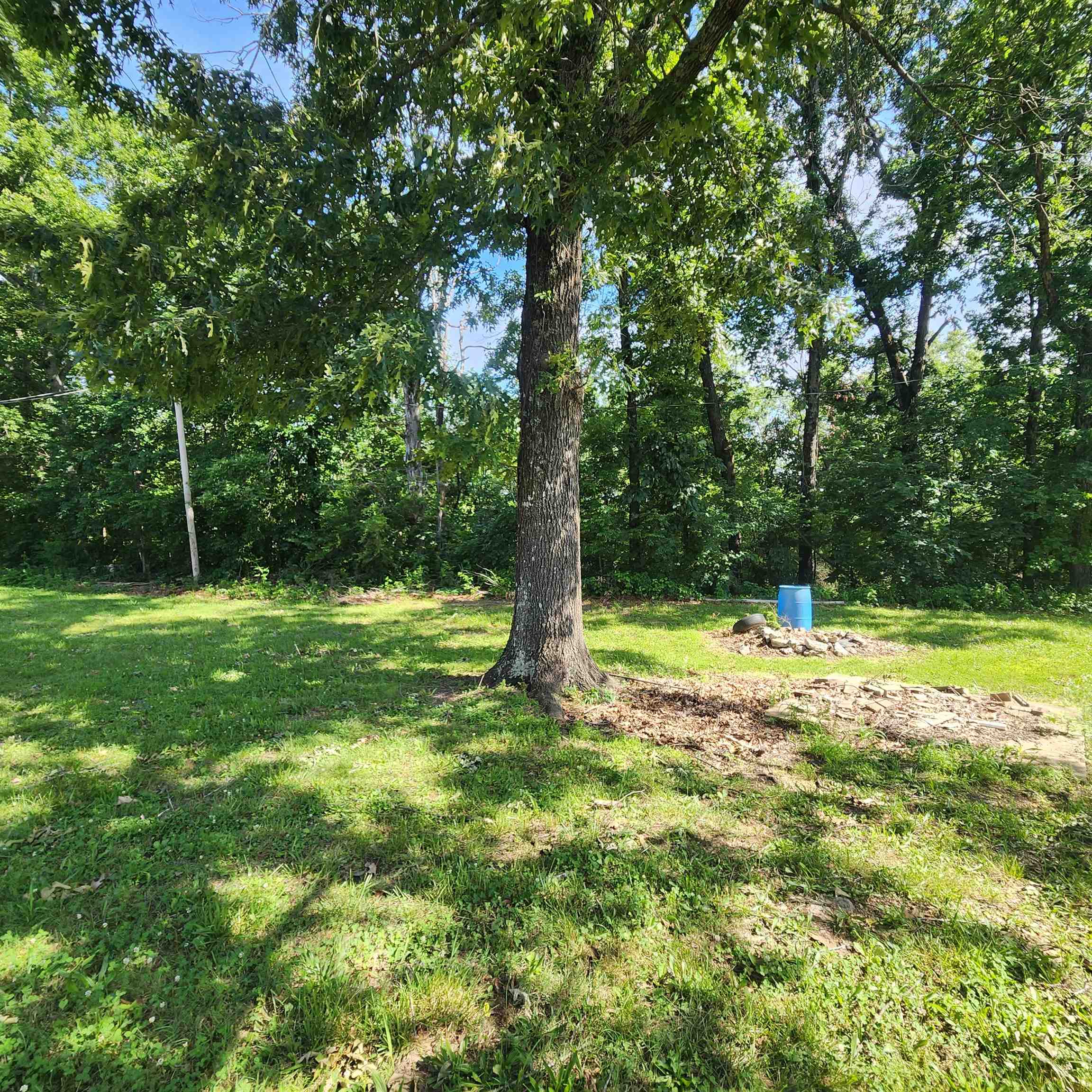 Photo 23 - Residential for sale – 1947  63   Hardy, AR