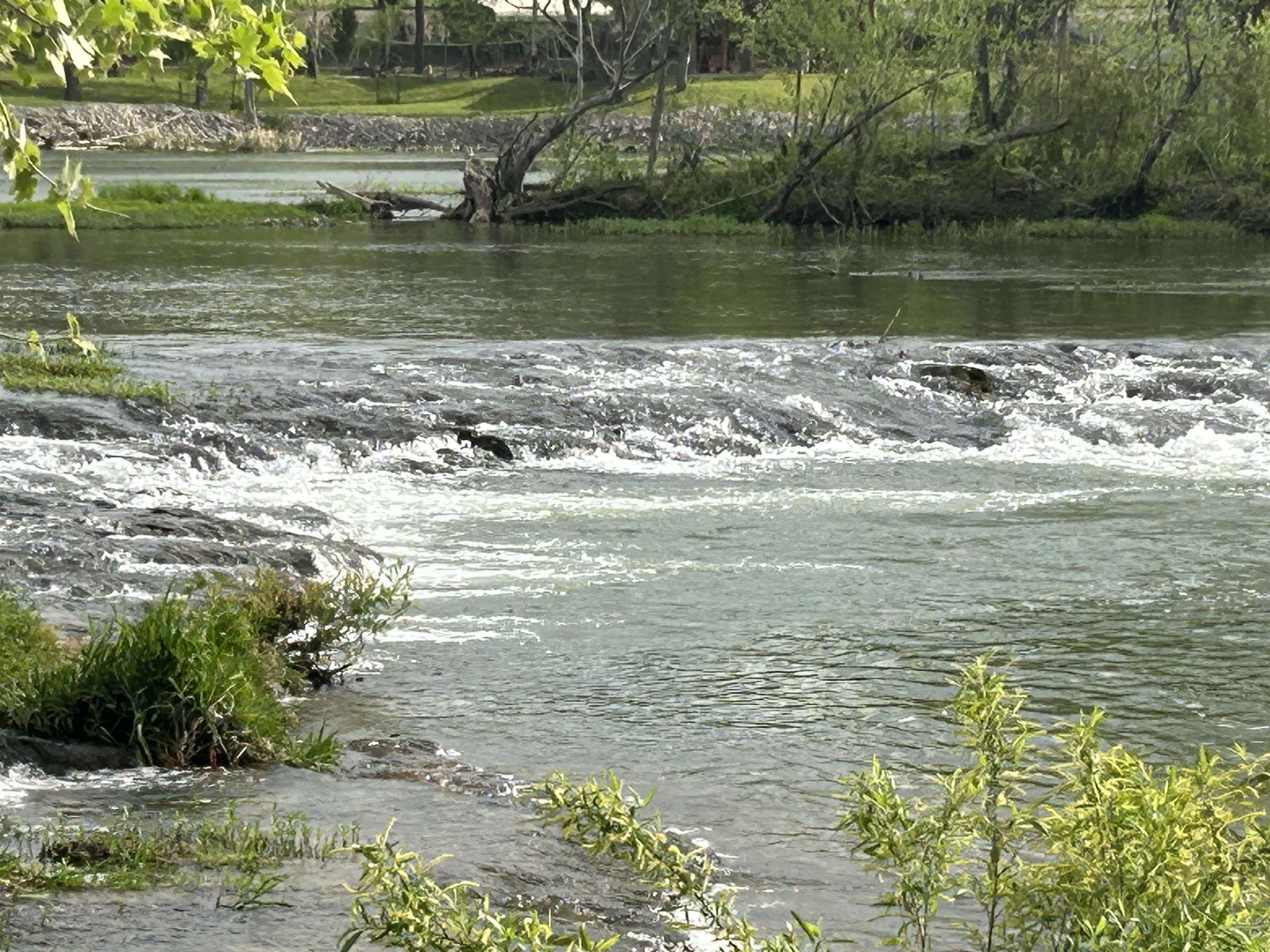 Photo 42 - Commercial / Industrial for sale – 132 E Main   Hardy, AR