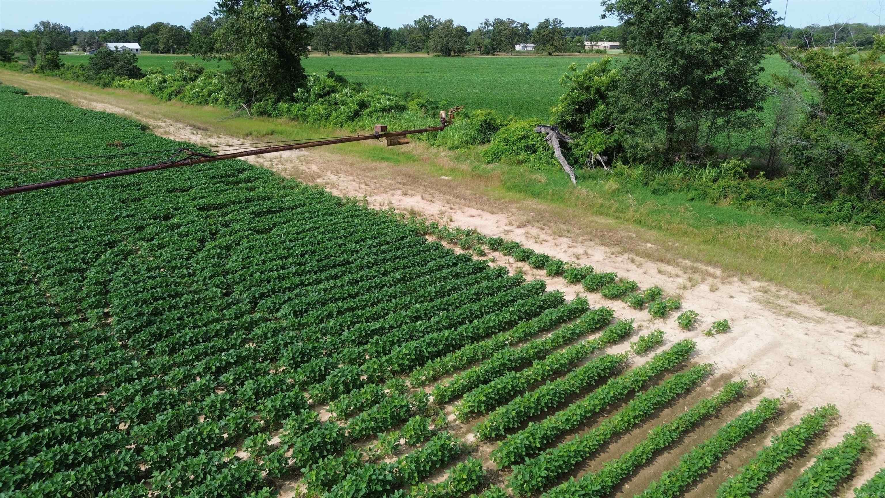 Photo 11 - Vacant Land for sale – 1111  Hwy 318   Marvell, AR