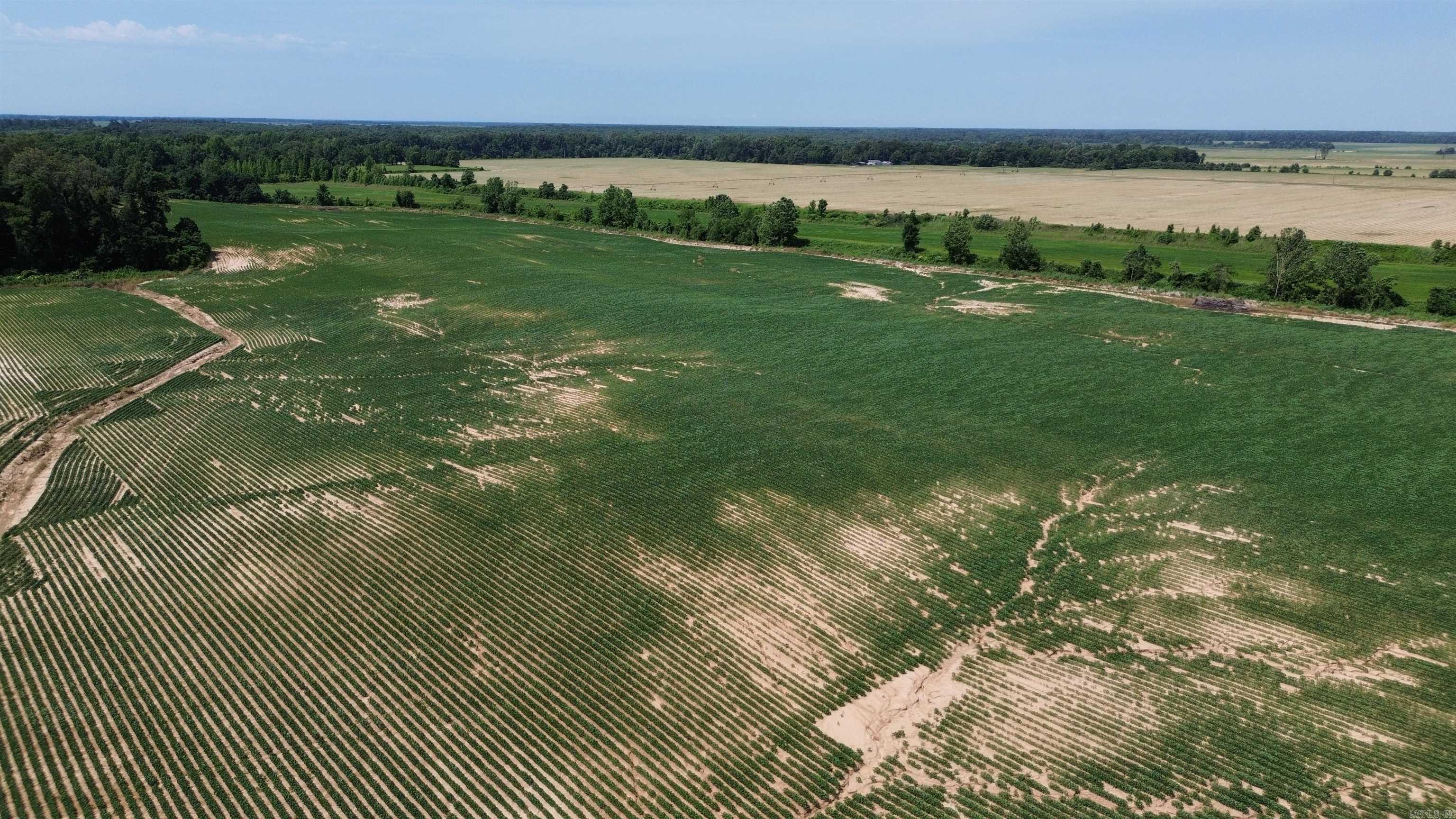 Photo 28 - Vacant Land for sale – 1111  Hwy 318   Marvell, AR