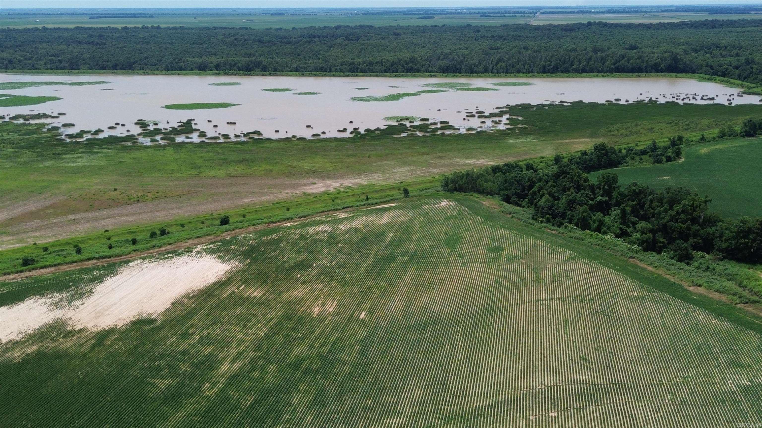 Photo 45 - Vacant Land for sale – 1111  Hwy 318   Marvell, AR