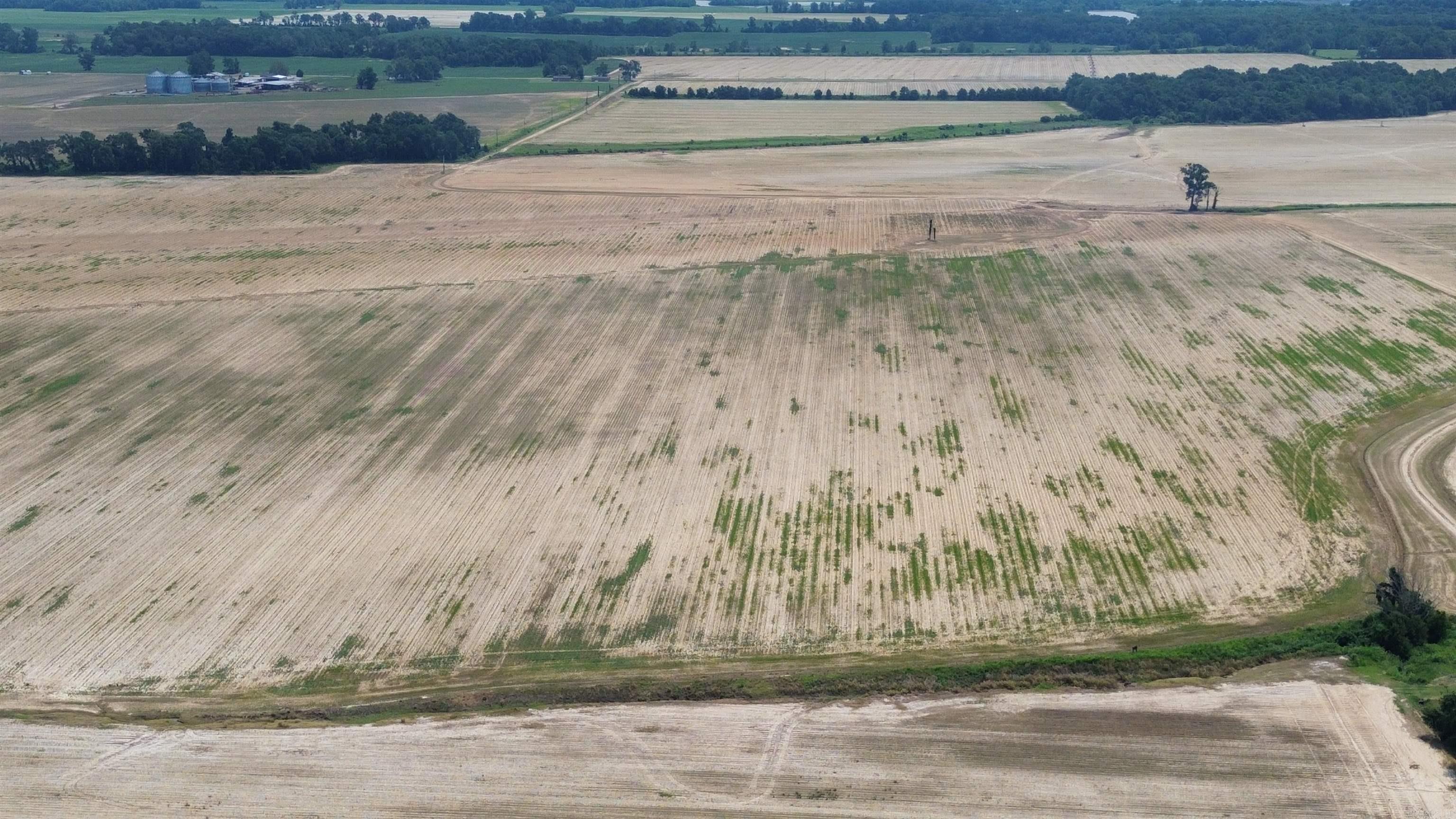 Photo 48 - Vacant Land for sale – 1111  Hwy 318   Marvell, AR