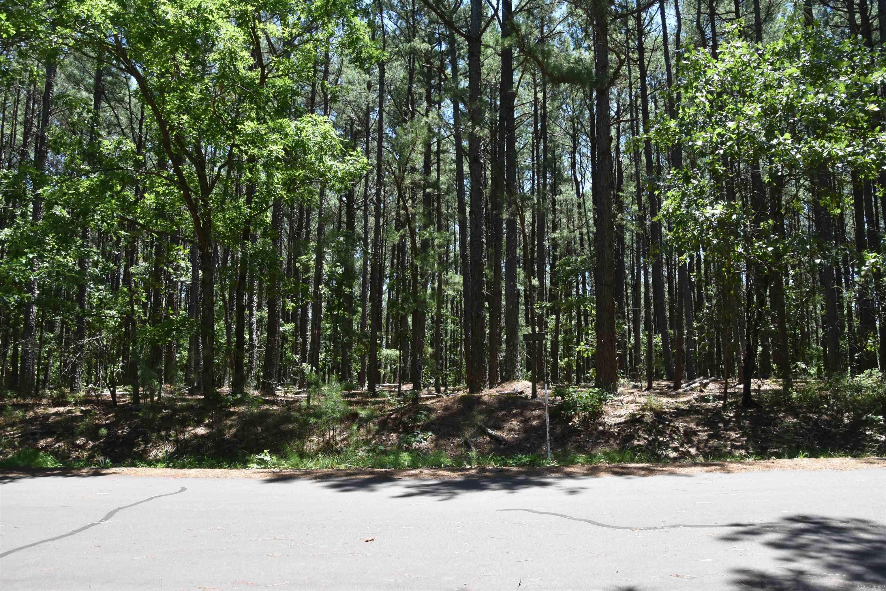 Vacant Land for sale – Lot 5  Mandarina   Hot Springs Village, AR