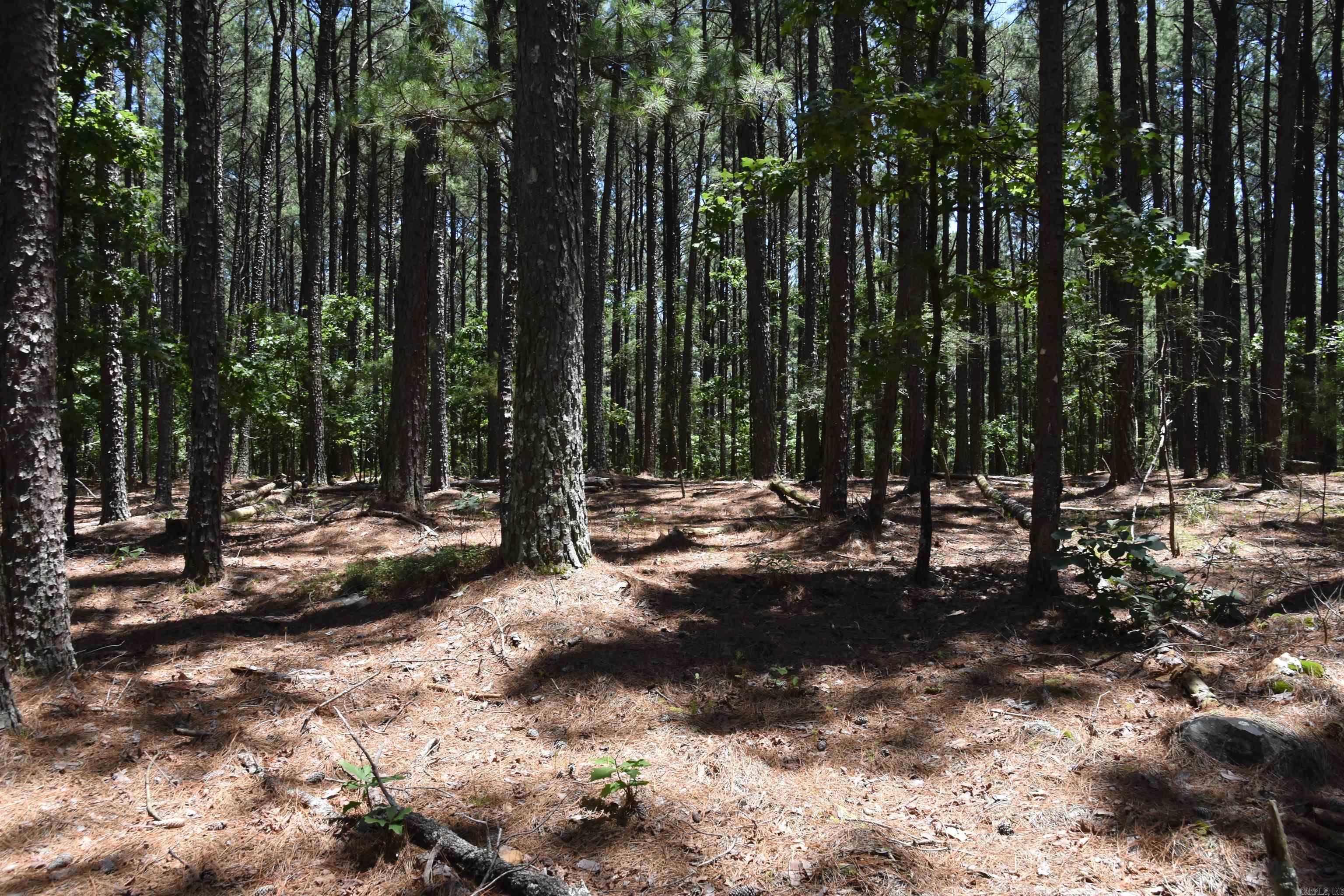 Photo 2 - Vacant Land for sale – Lot 5  Mandarina   Hot Springs Village, AR