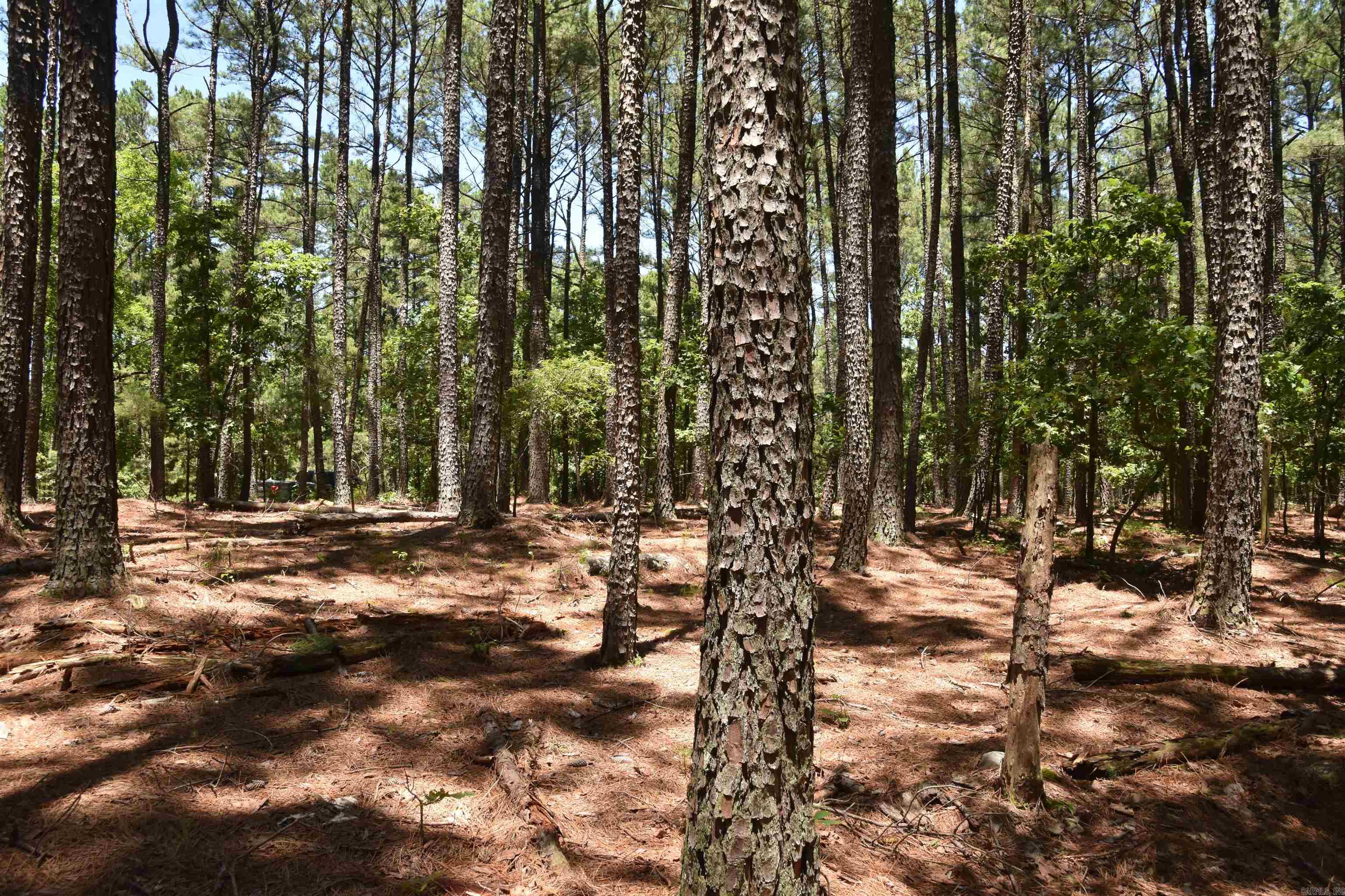 Photo 3 - Vacant Land for sale – Lot 5  Mandarina   Hot Springs Village, AR