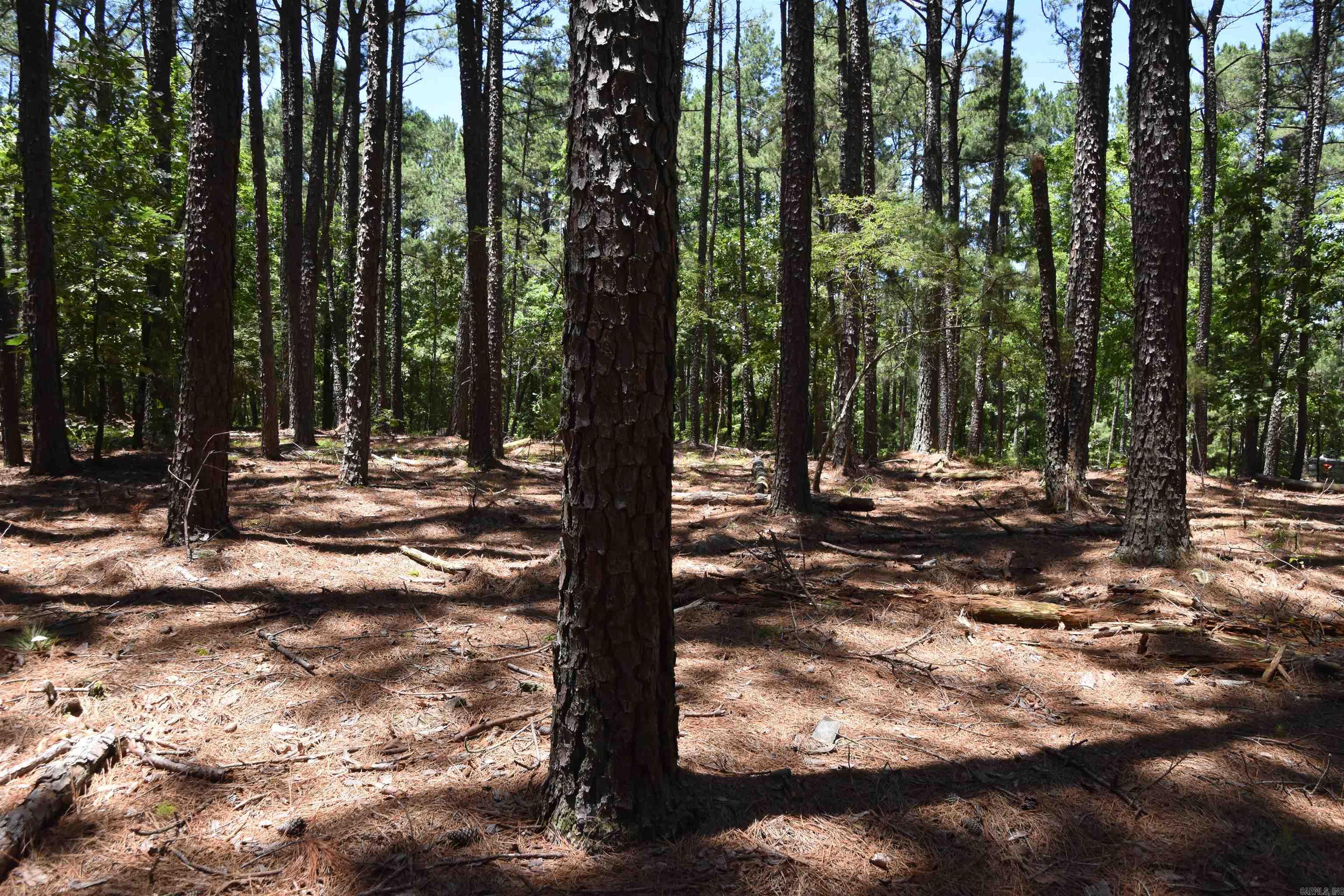 Photo 4 - Vacant Land for sale – Lot 5  Mandarina   Hot Springs Village, AR