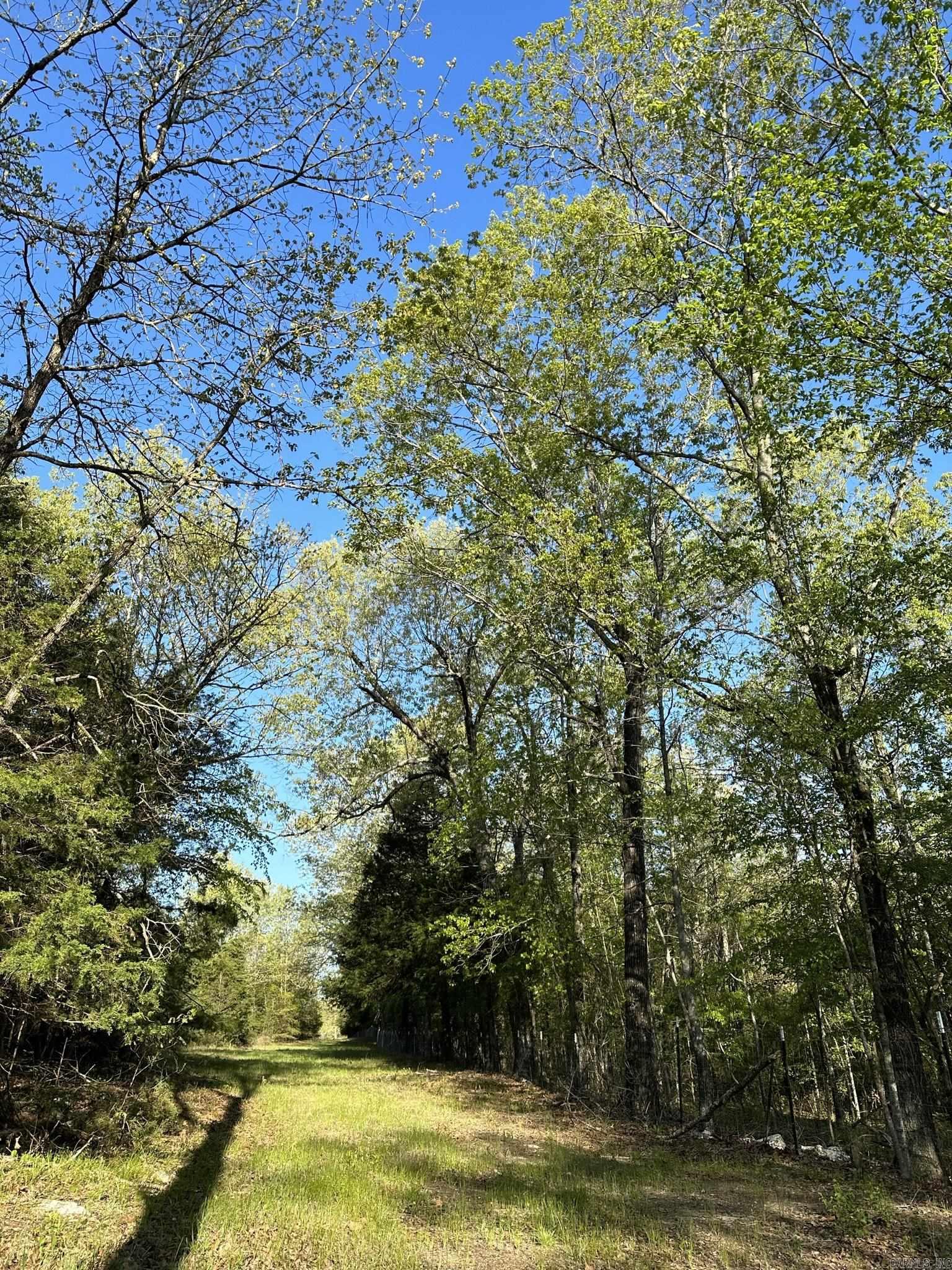 Photo 29 - Commercial / Industrial for sale – 1551 S Bullpen Road  Yes Oxford, AR
