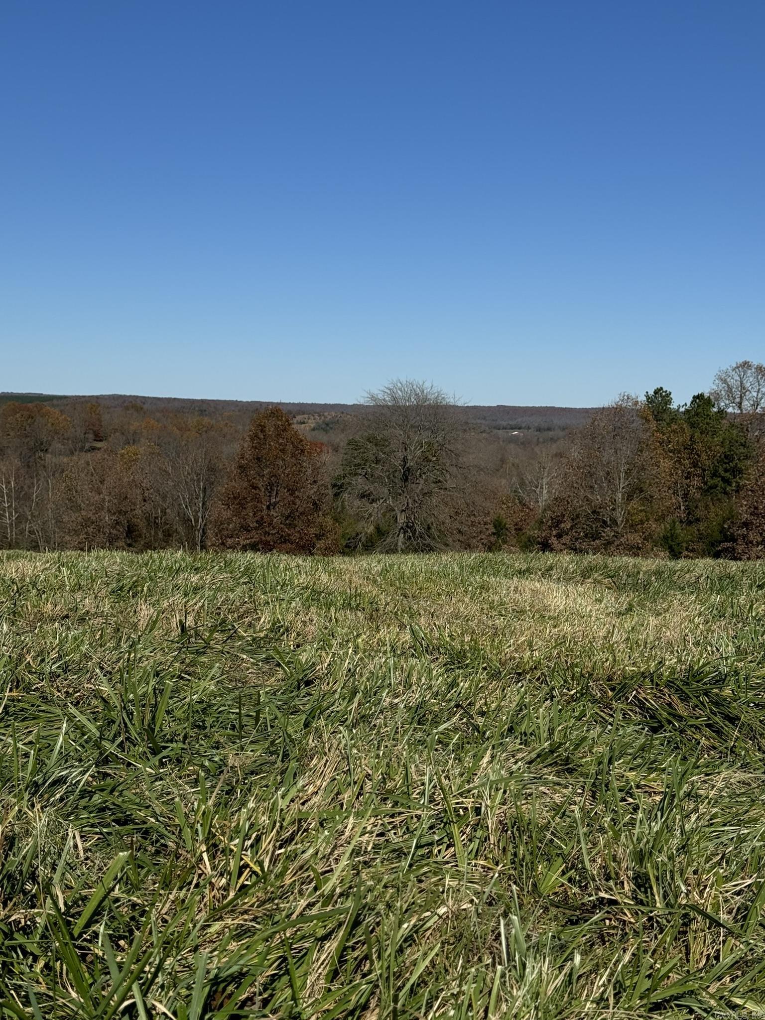 Photo 9 - Commercial / Industrial for sale – 1551 S Bullpen Road  Yes Oxford, AR