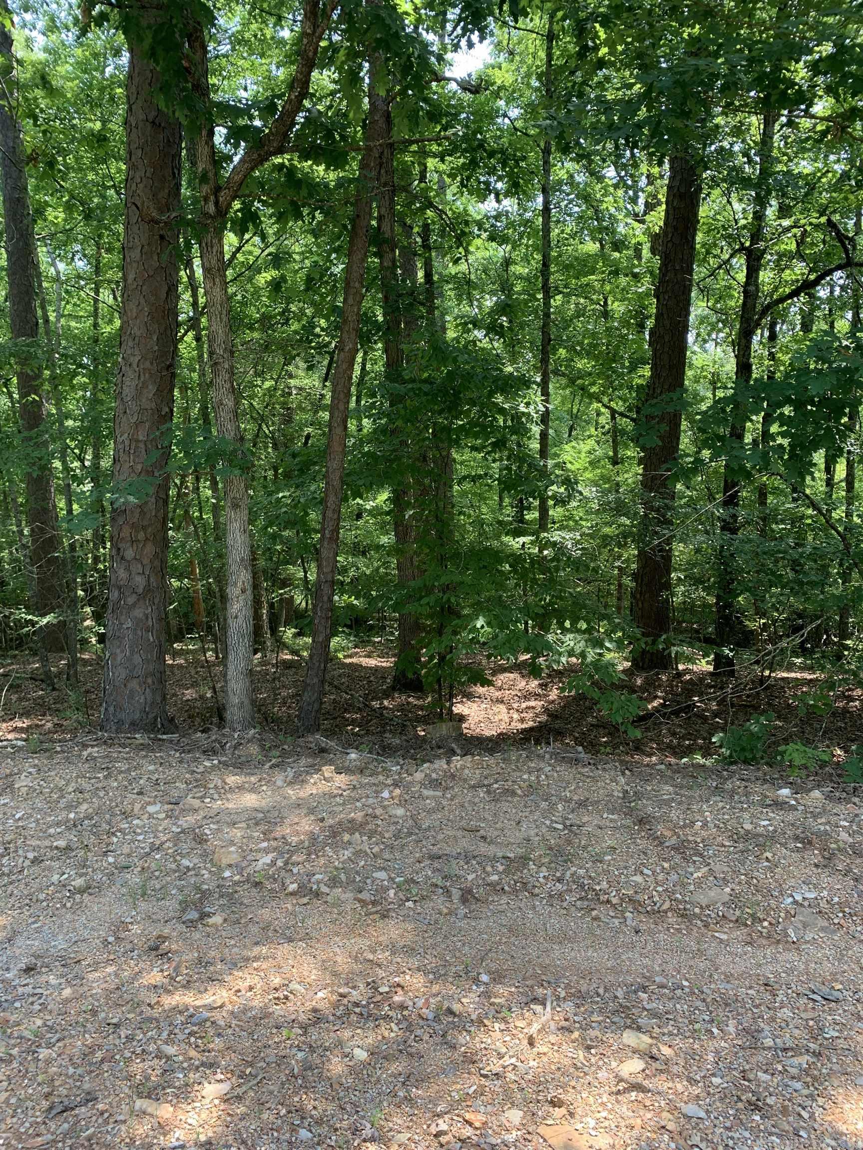 Photo 6 - Vacant Land for sale – 27  Pinocha   Hot Springs Village, AR