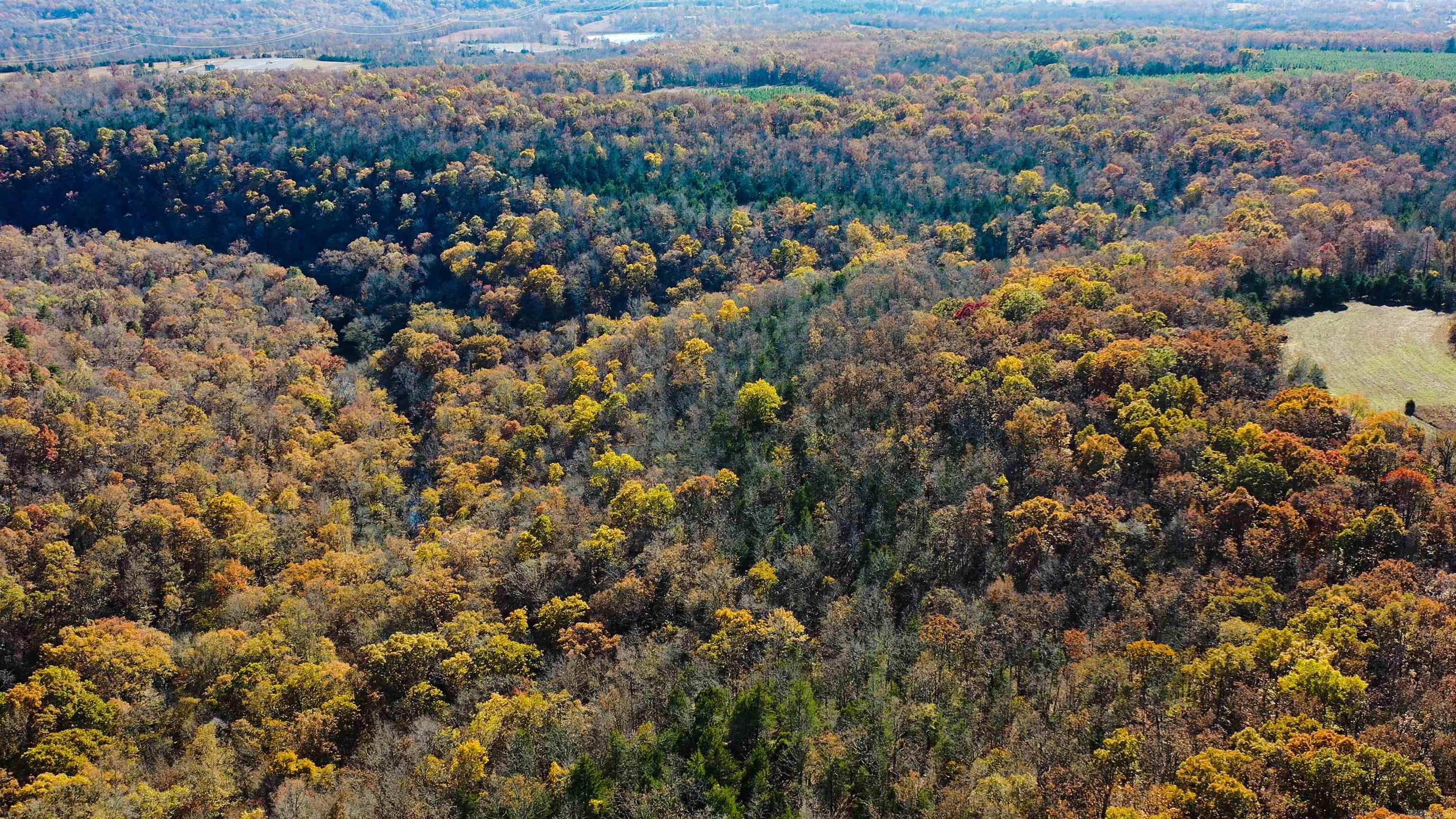 Vacant Land for sale – 000  Summers Loop   Judsonia, AR