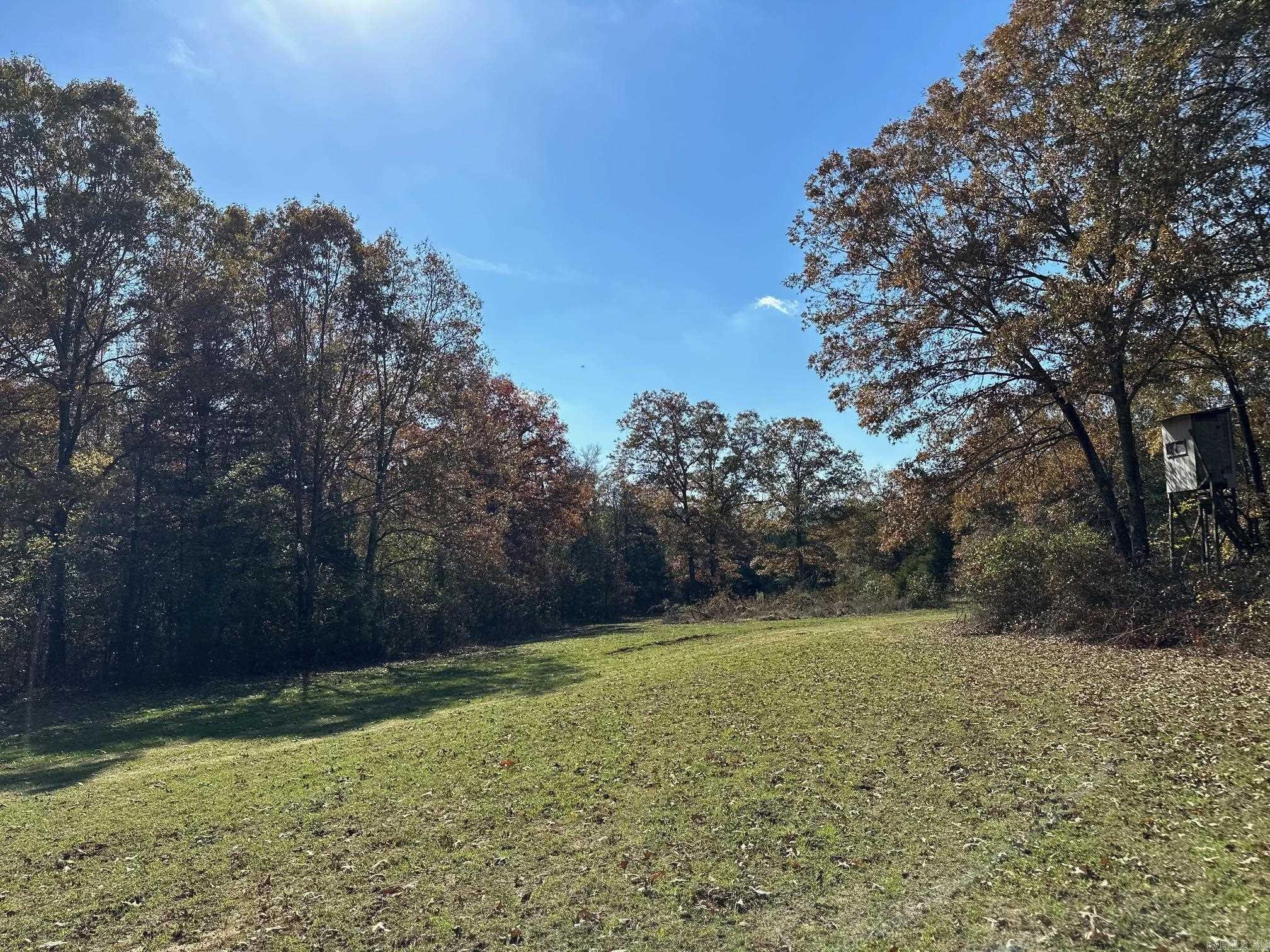 Photo 17 - Vacant Land for sale – 000  Summers Loop   Judsonia, AR