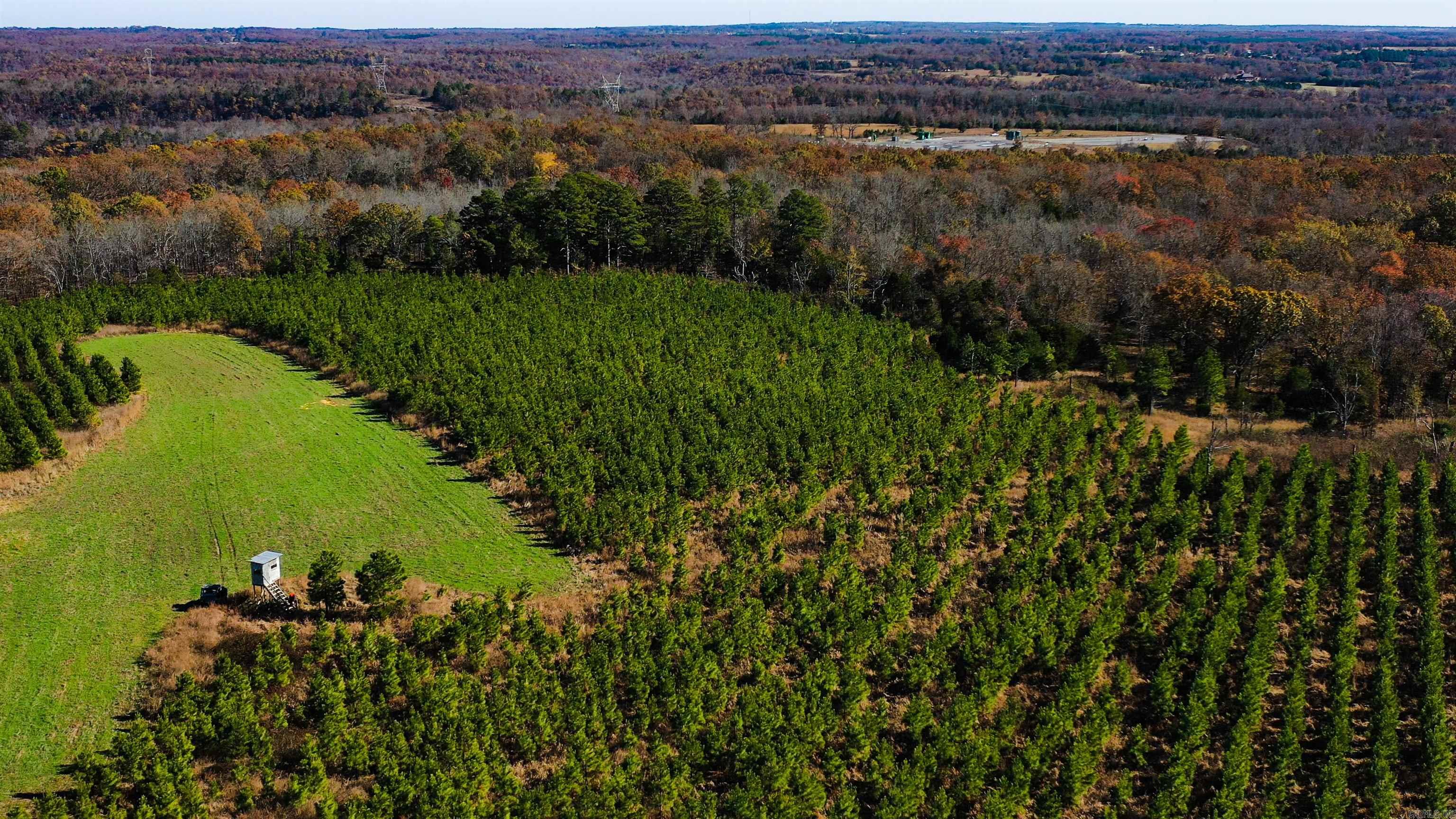 Photo 4 - Vacant Land for sale – 000  Summers Loop   Judsonia, AR