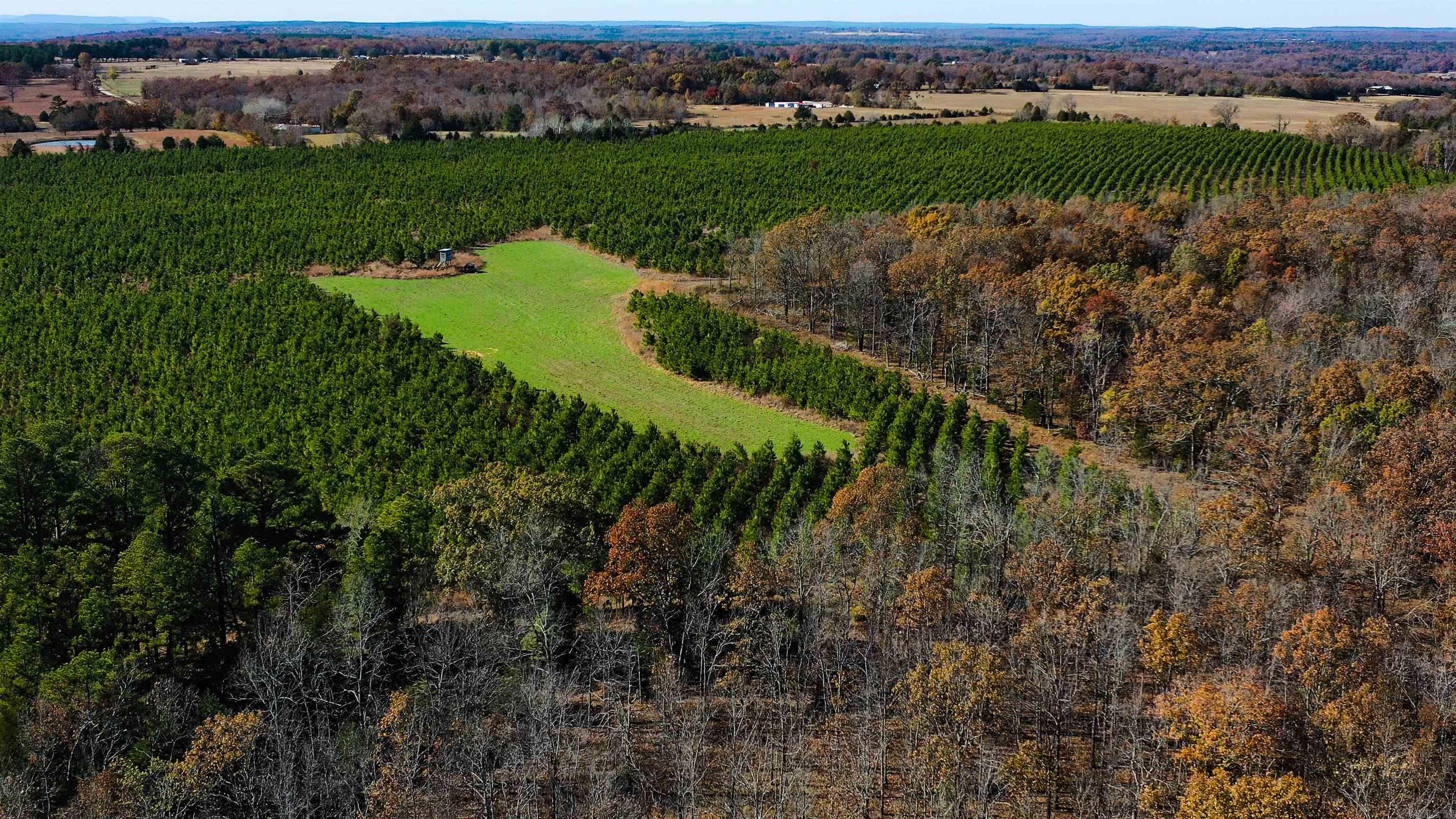 Photo 6 - Vacant Land for sale – 000  Summers Loop   Judsonia, AR