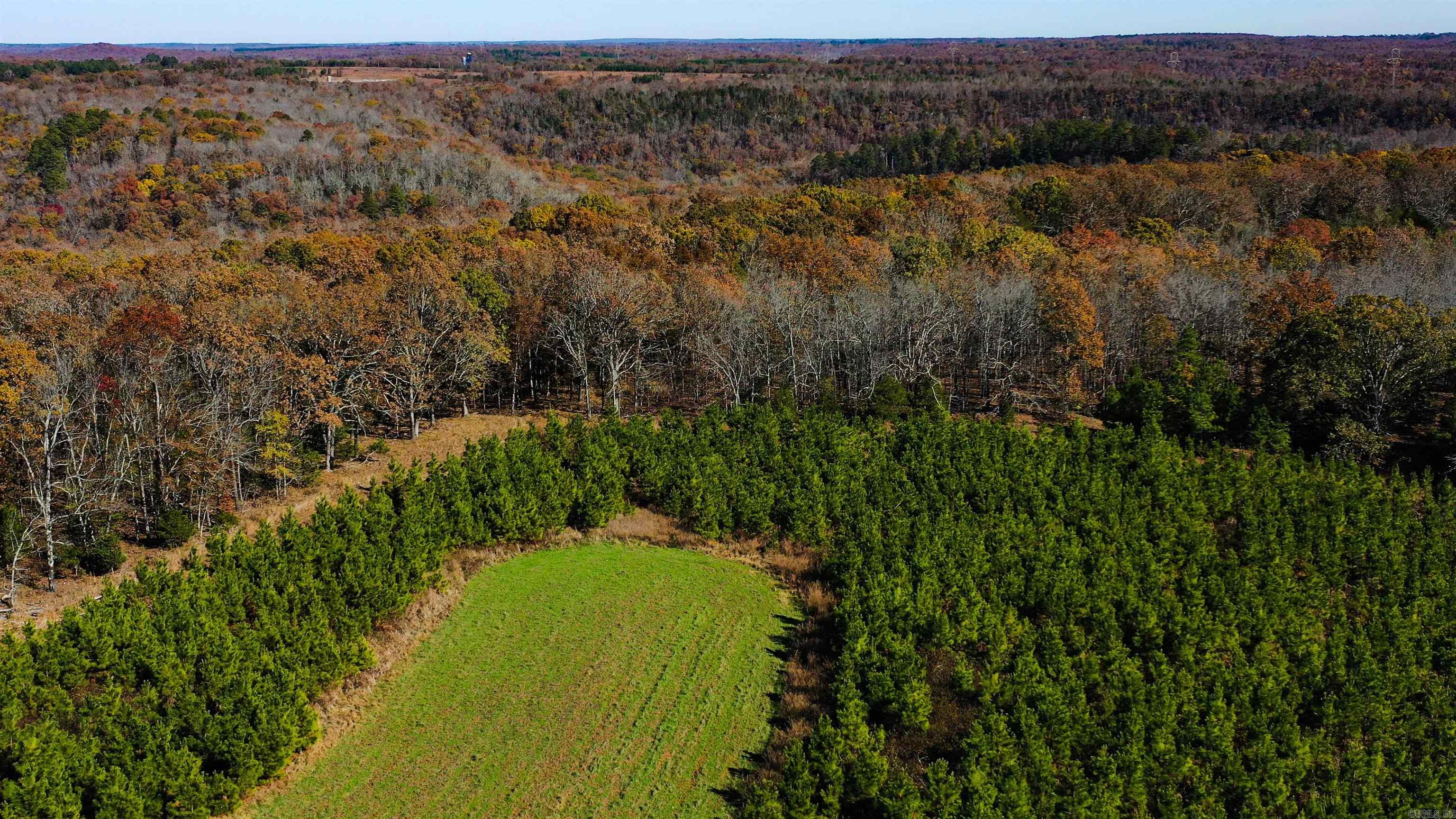 Photo 7 - Vacant Land for sale – 000  Summers Loop   Judsonia, AR