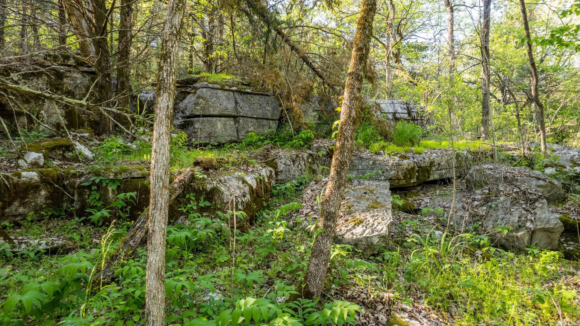 Photo 11 - Vacant Land for sale – 4103  River   Guion, AR