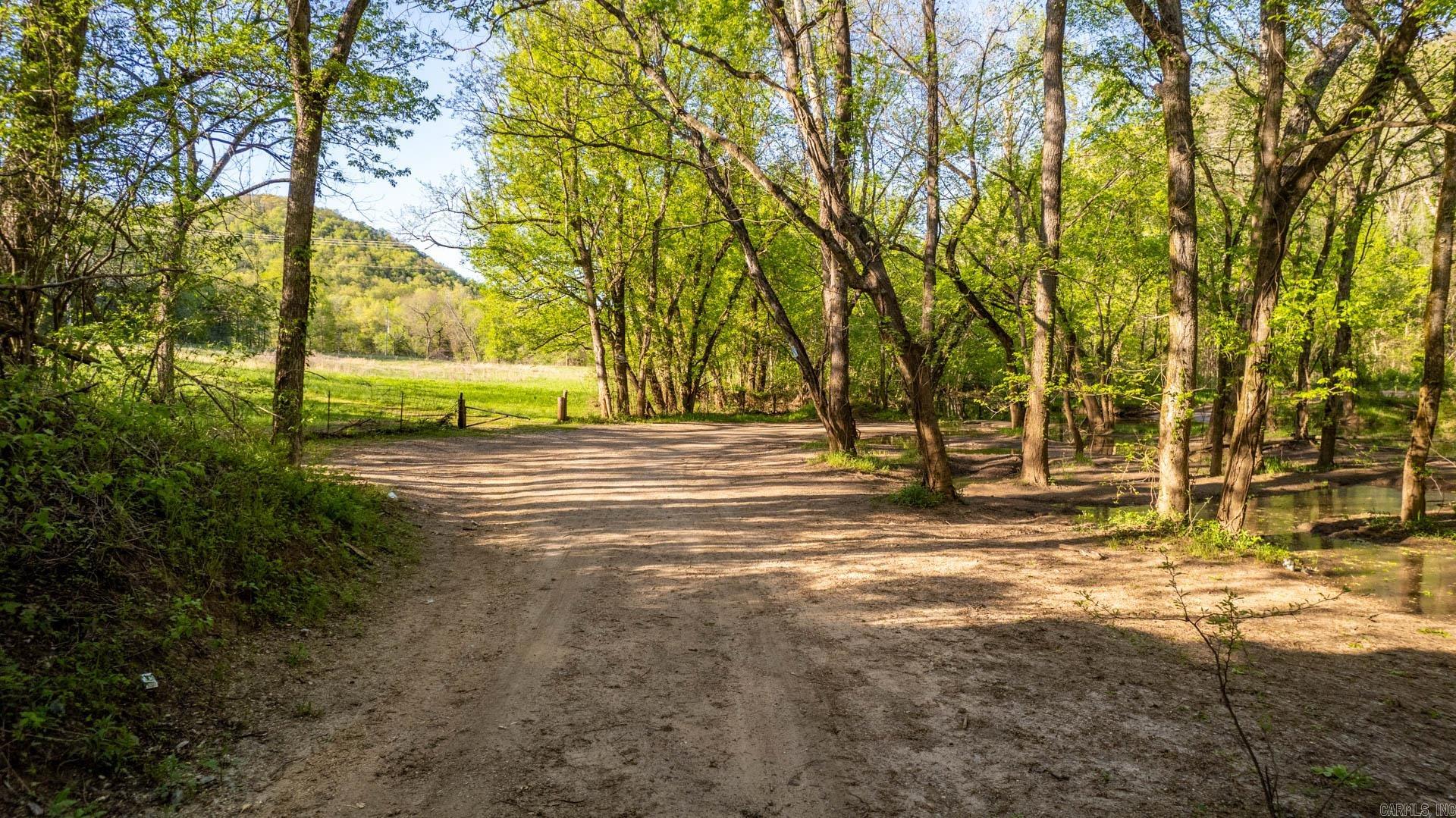 Photo 12 - Vacant Land for sale – 4103  River   Guion, AR