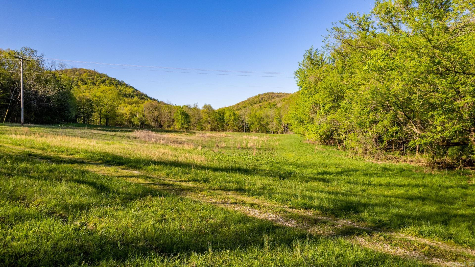 Photo 13 - Vacant Land for sale – 4103  River   Guion, AR