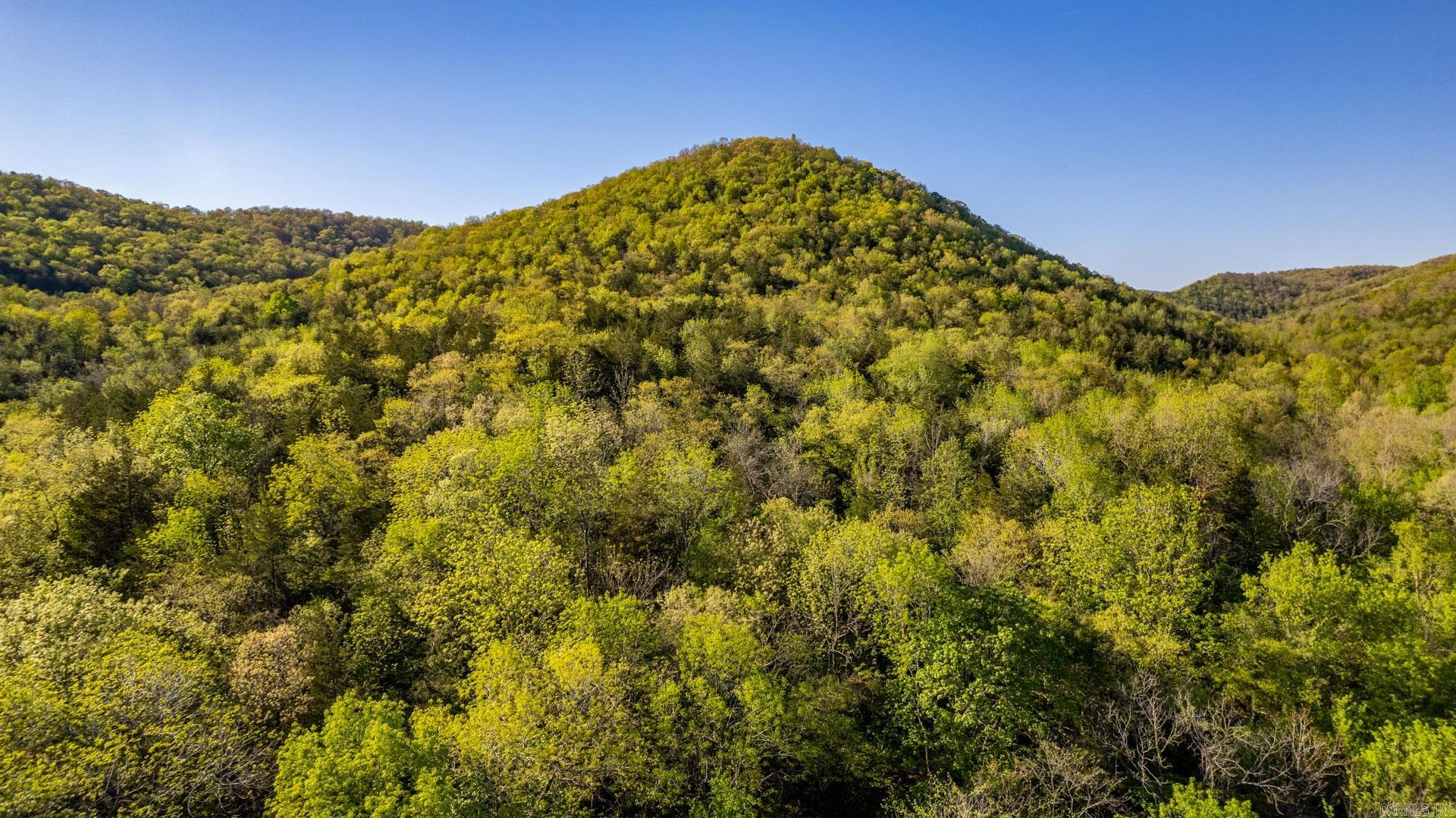 Photo 18 - Vacant Land for sale – 4103  River   Guion, AR