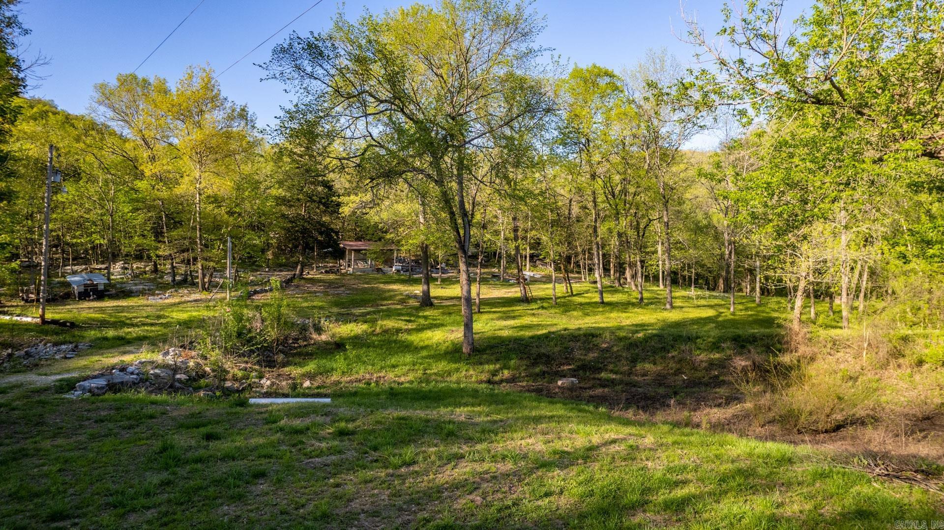Photo 32 - Vacant Land for sale – 4103  River   Guion, AR