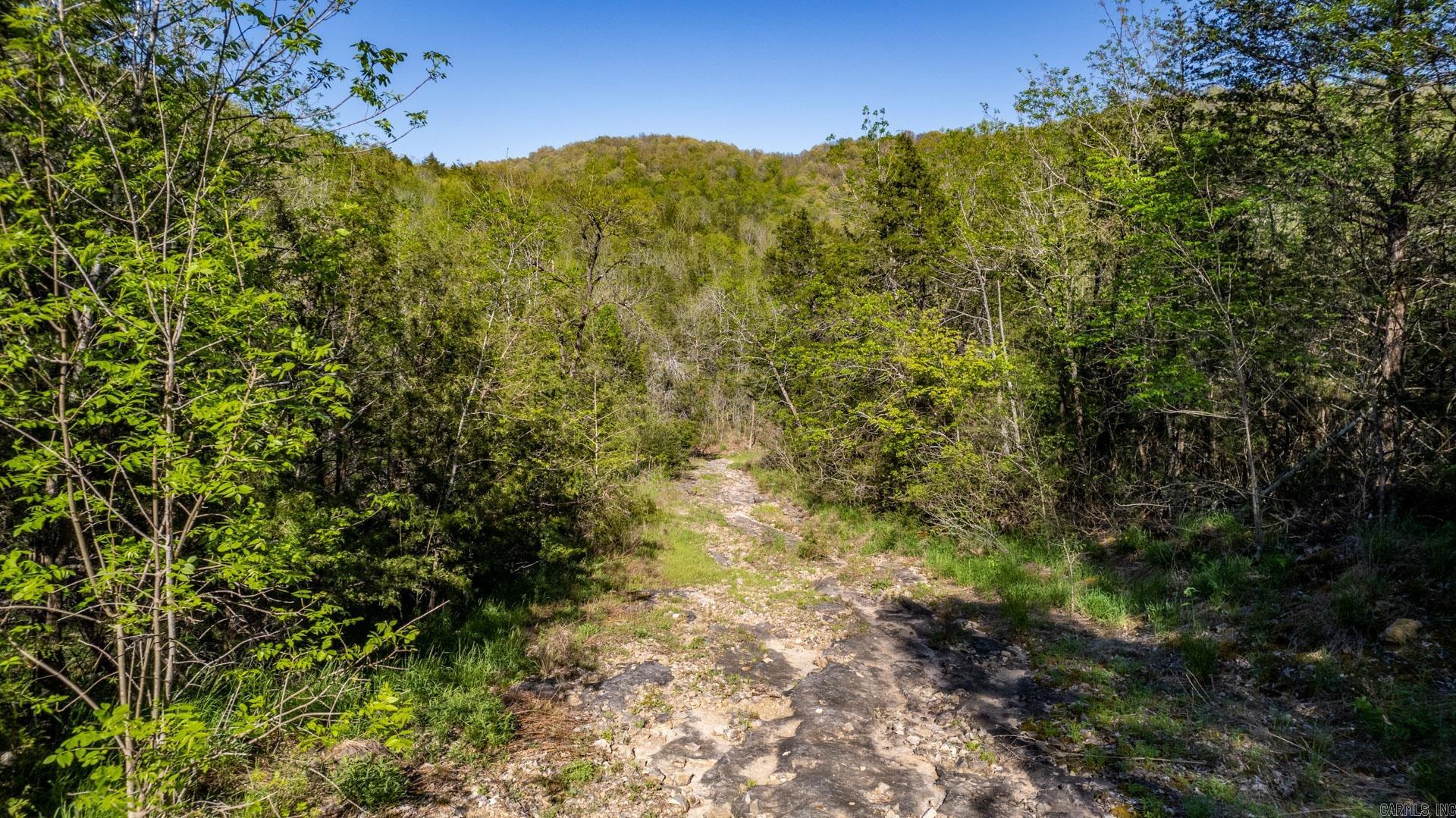 Photo 33 - Vacant Land for sale – 4103  River   Guion, AR