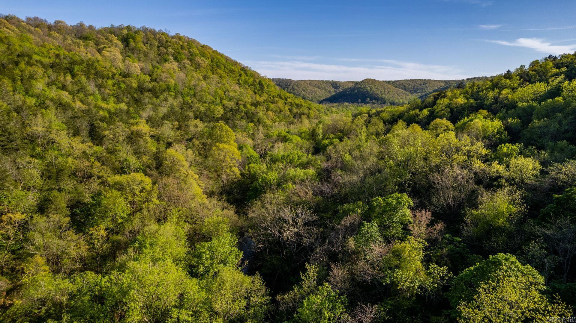 Photo 37 - Vacant Land for sale – 4103  River   Guion, AR