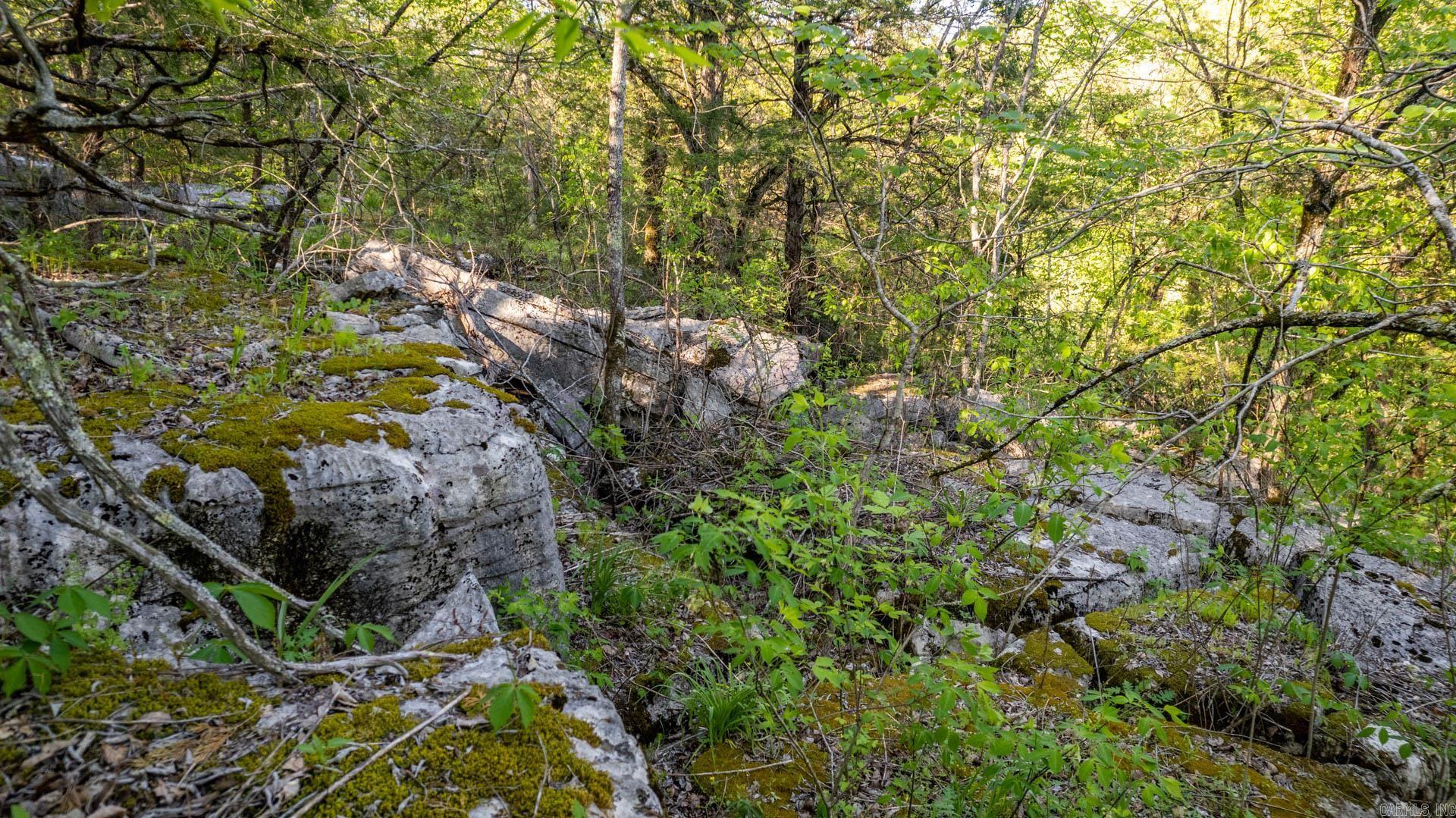 Photo 39 - Vacant Land for sale – 4103  River   Guion, AR
