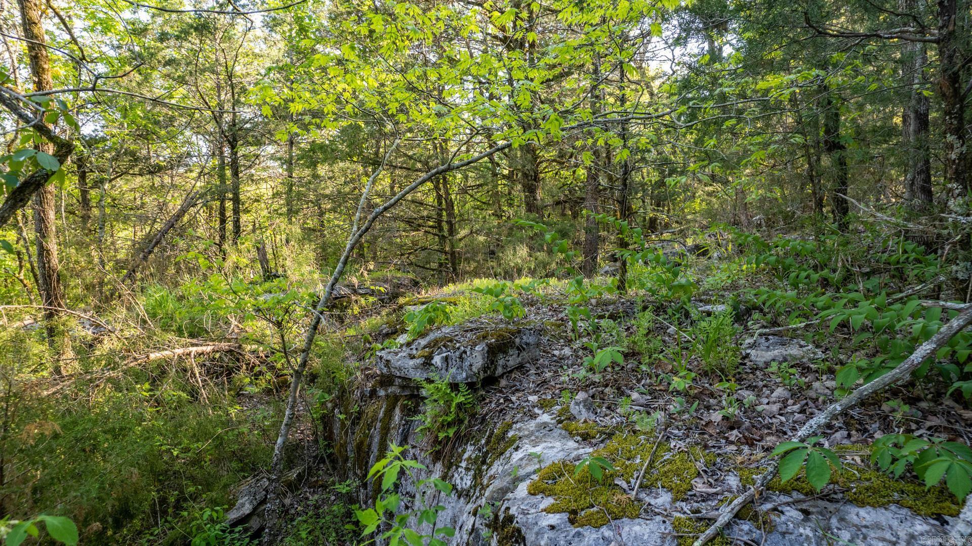 Photo 5 - Vacant Land for sale – 4103  River   Guion, AR