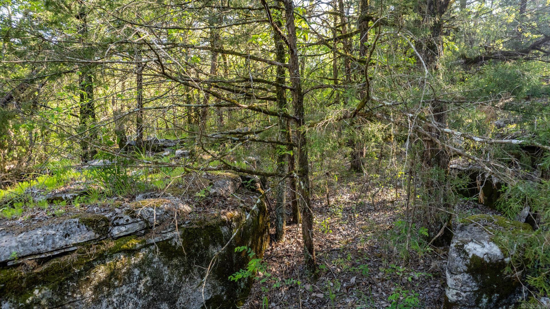Photo 44 - Vacant Land for sale – 4103  River   Guion, AR