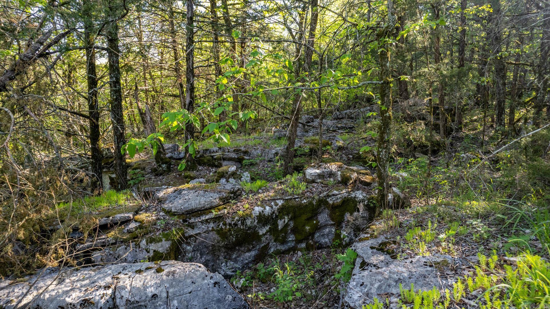 Photo 6 - Vacant Land for sale – 4103  River   Guion, AR