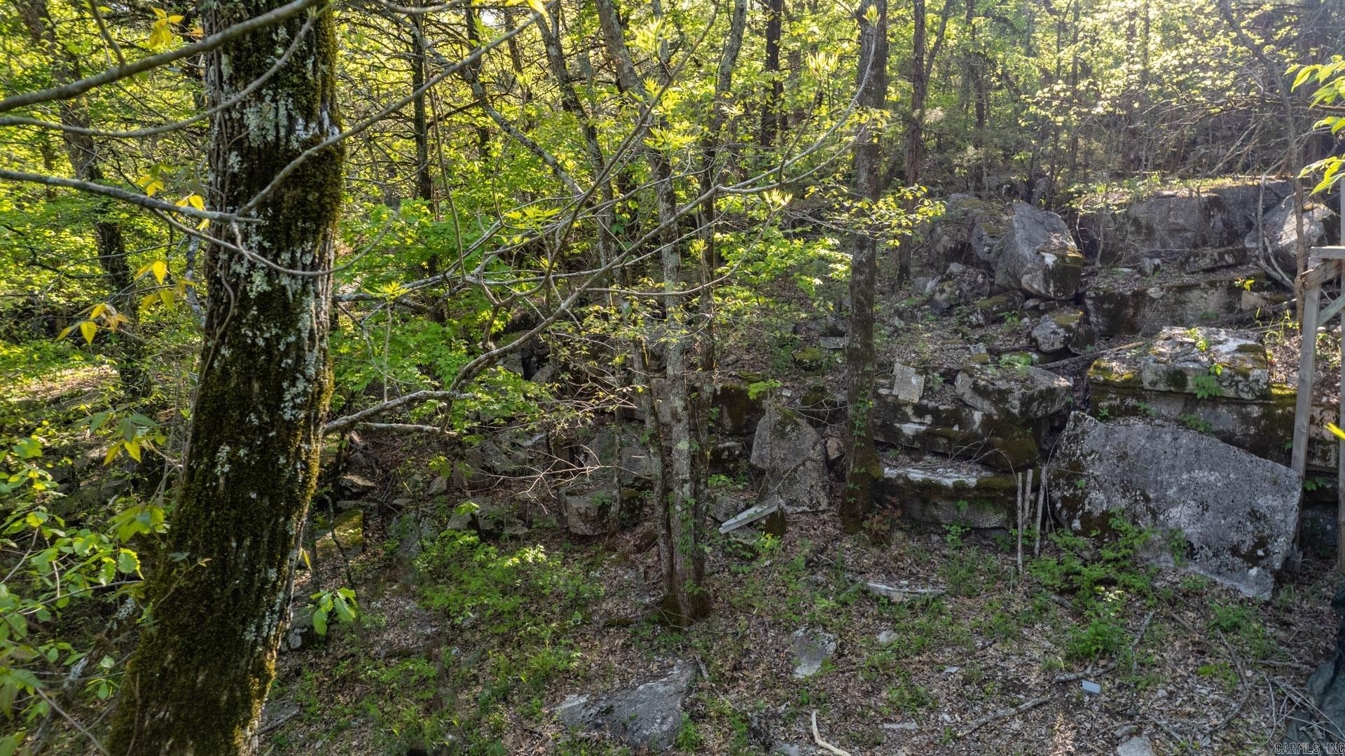 Photo 9 - Vacant Land for sale – 4103  River   Guion, AR