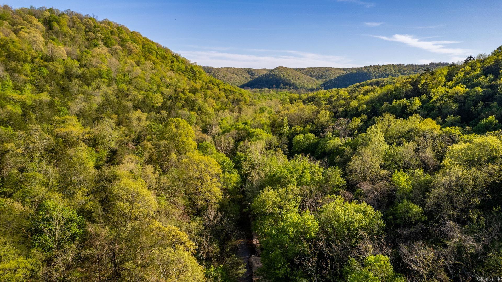 Photo 10 - Vacant Land for sale – 4103  River   Guion, AR