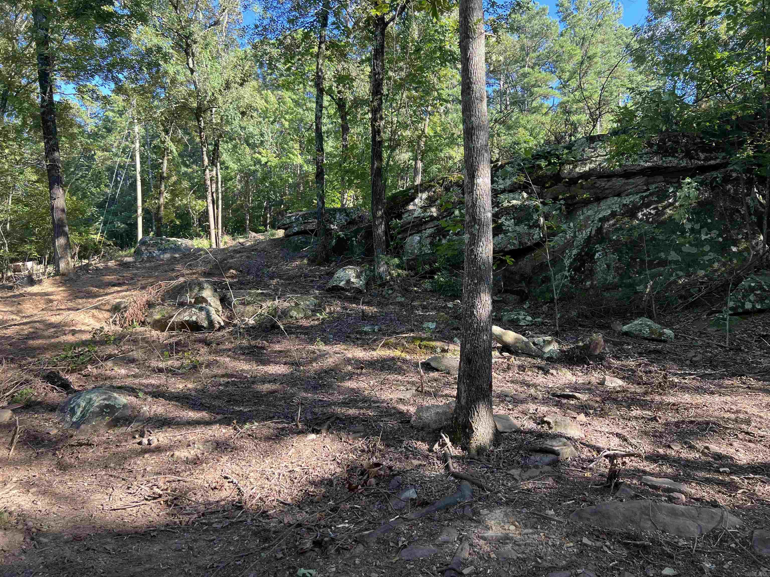 Photo 3 - Vacant Land for sale – 00  Valhalla   Edgemont, AR