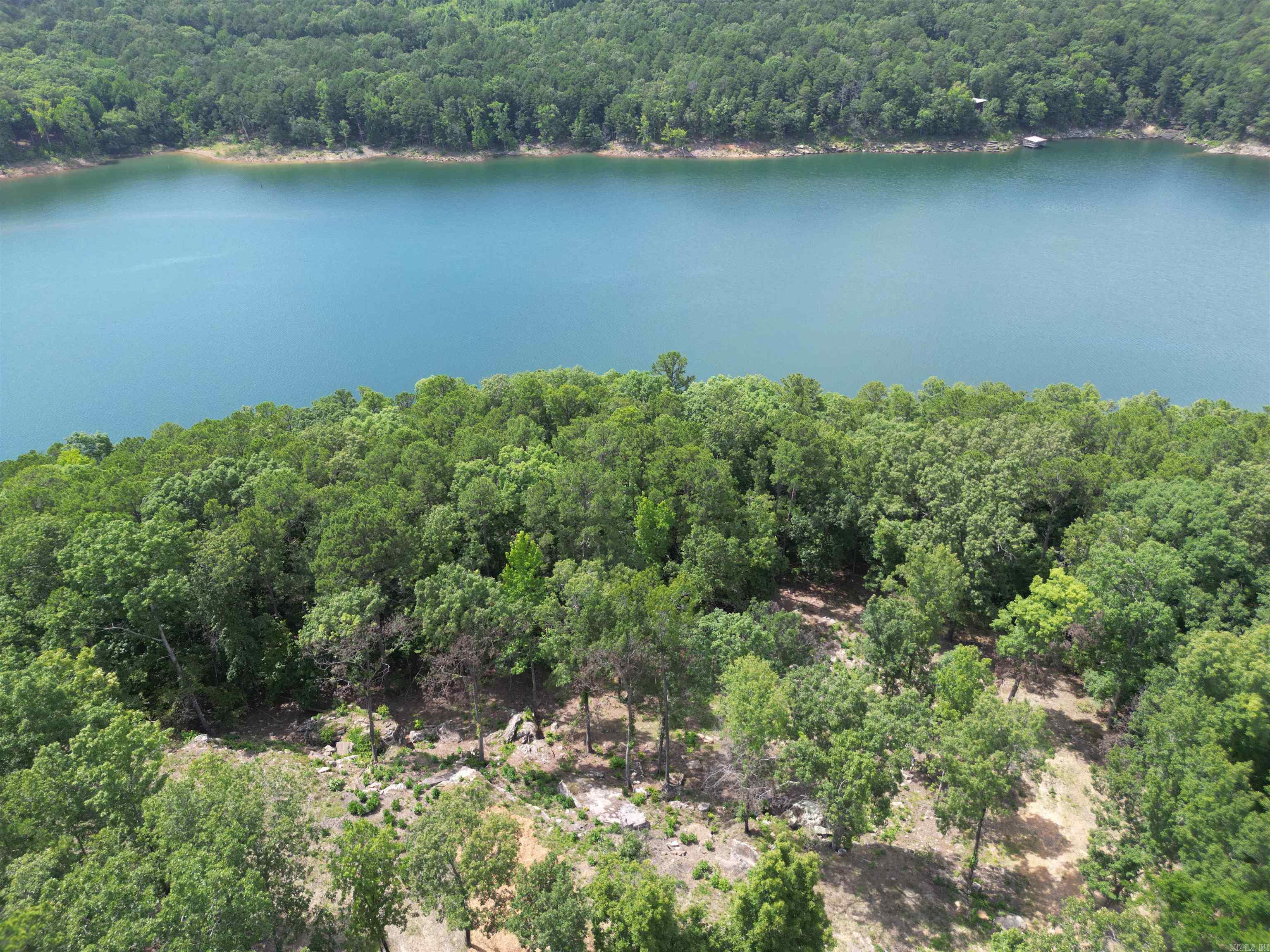 Photo 4 - Vacant Land for sale – 00  Valhalla   Edgemont, AR