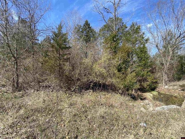 Photo 2 - Vacant Land for sale – 0001  Wirth Road   Hardy, AR