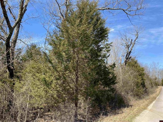 Photo 3 - Vacant Land for sale – 0001  Wirth Road   Hardy, AR