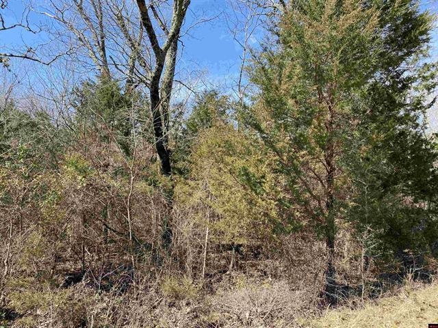 Photo 4 - Vacant Land for sale – 0001  Wirth Road   Hardy, AR
