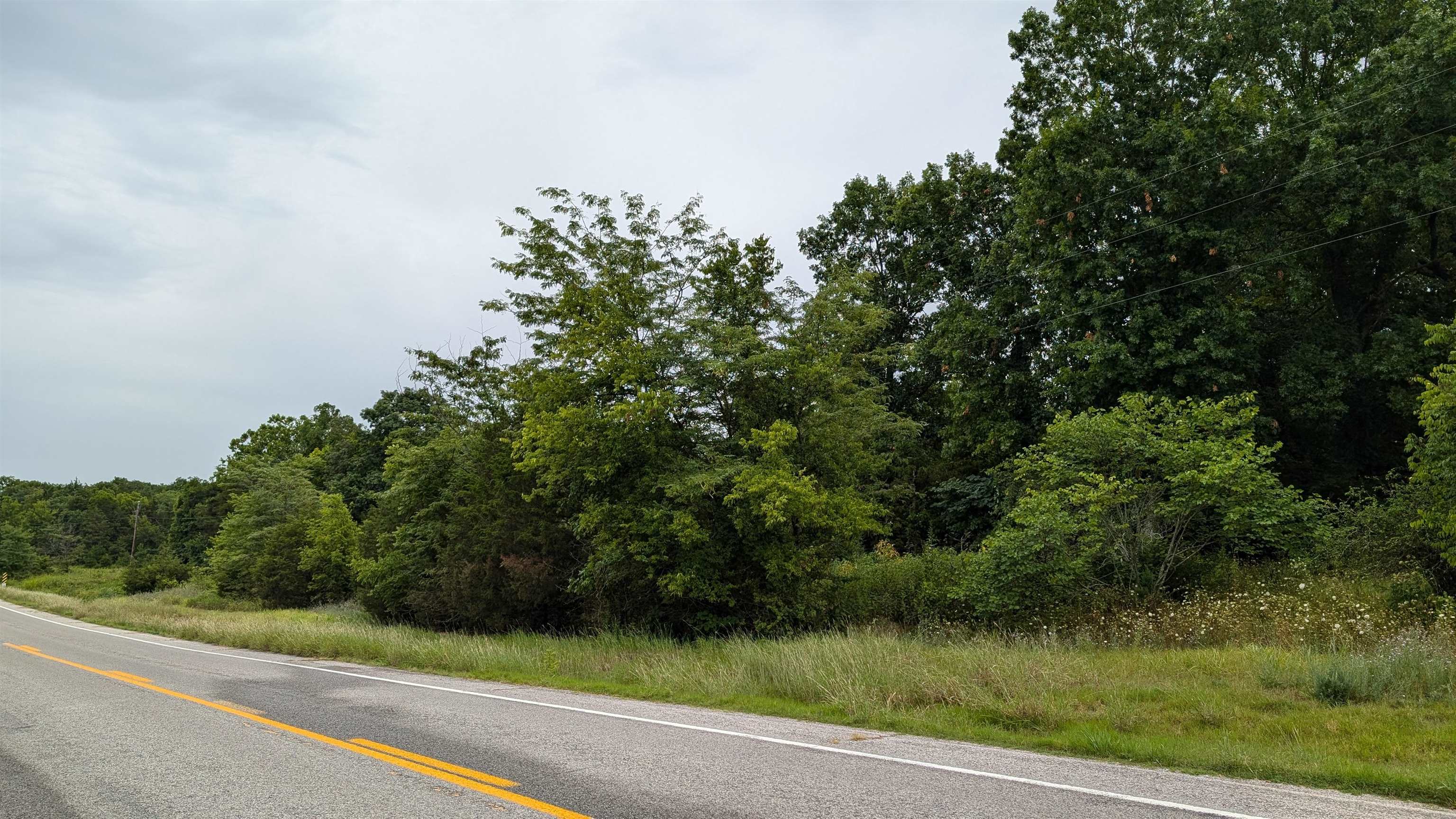 Photo 11 - Vacant Land for sale – 4525  56   Evening Shade, AR
