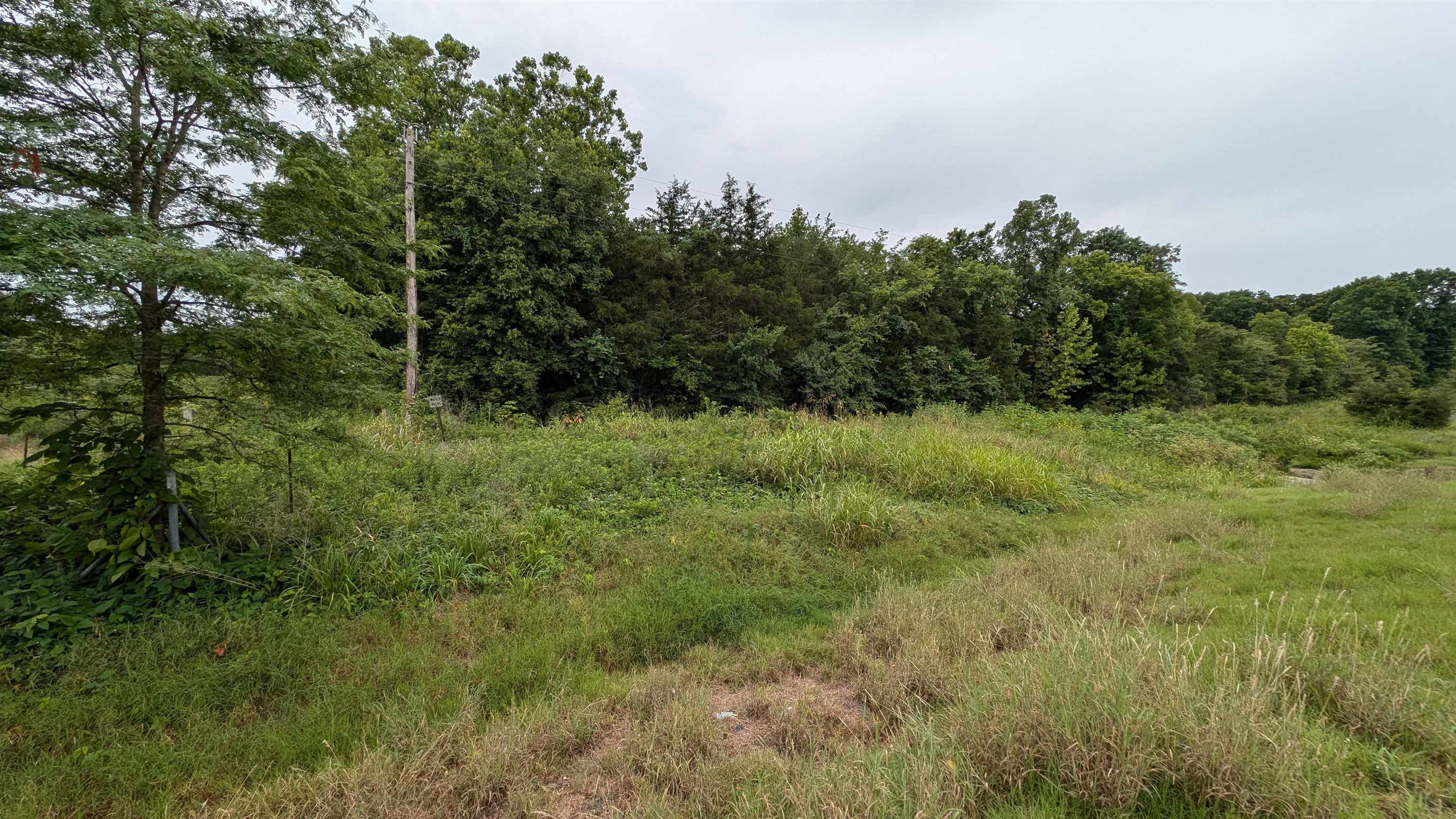 Photo 6 - Vacant Land for sale – 4525  56   Evening Shade, AR