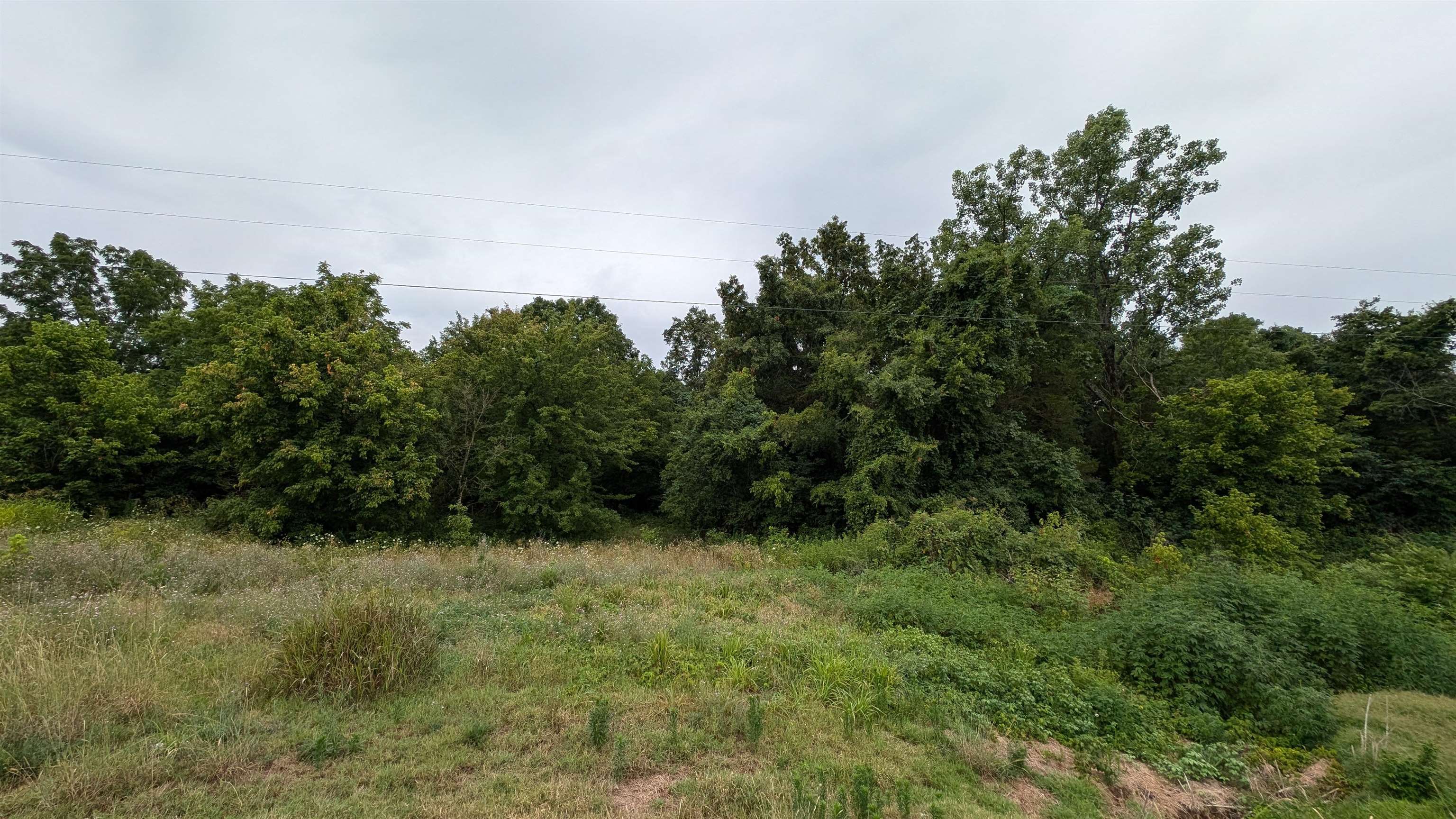 Photo 7 - Vacant Land for sale – 4525  56   Evening Shade, AR