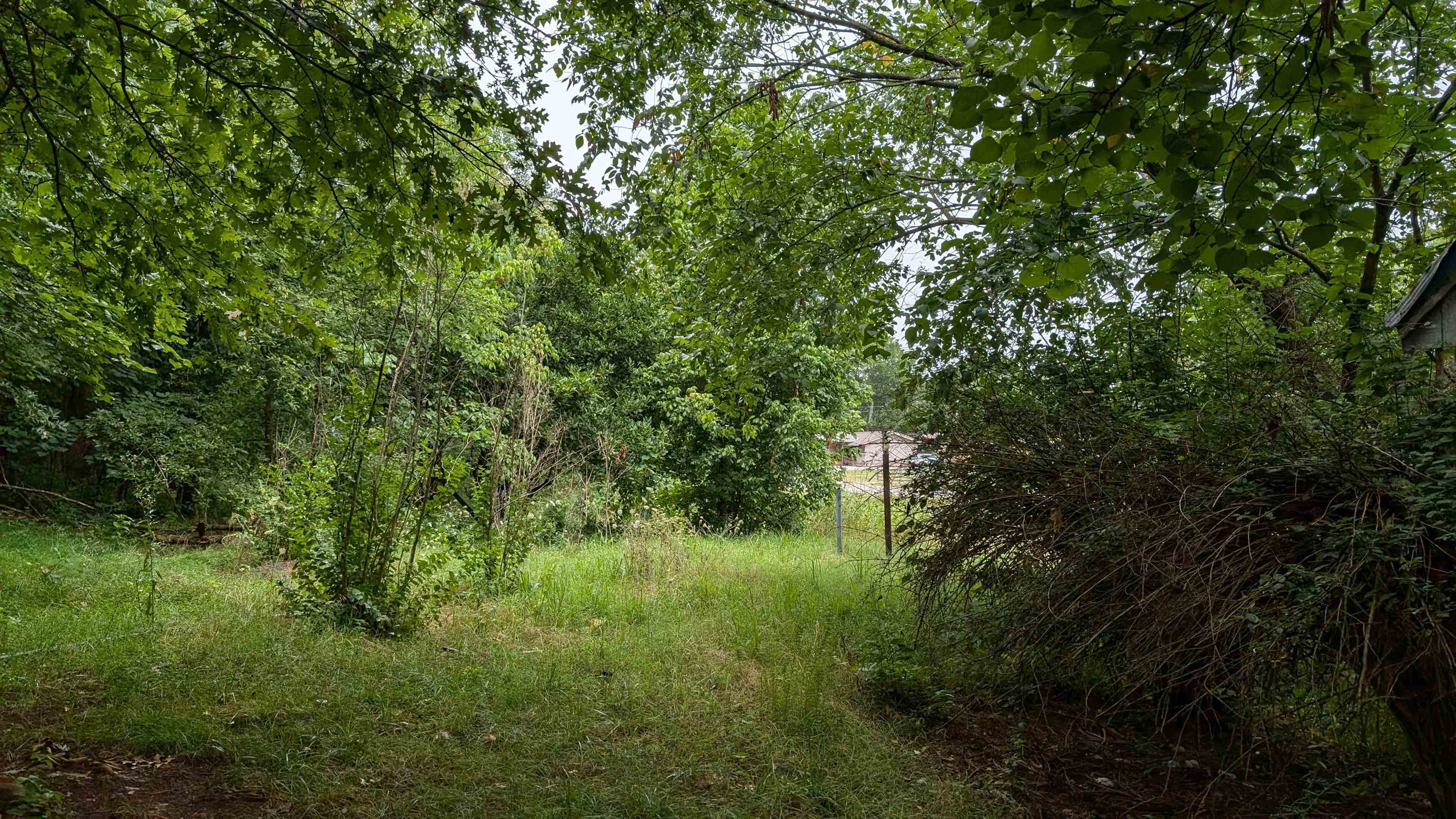 Photo 8 - Vacant Land for sale – 4525  56   Evening Shade, AR