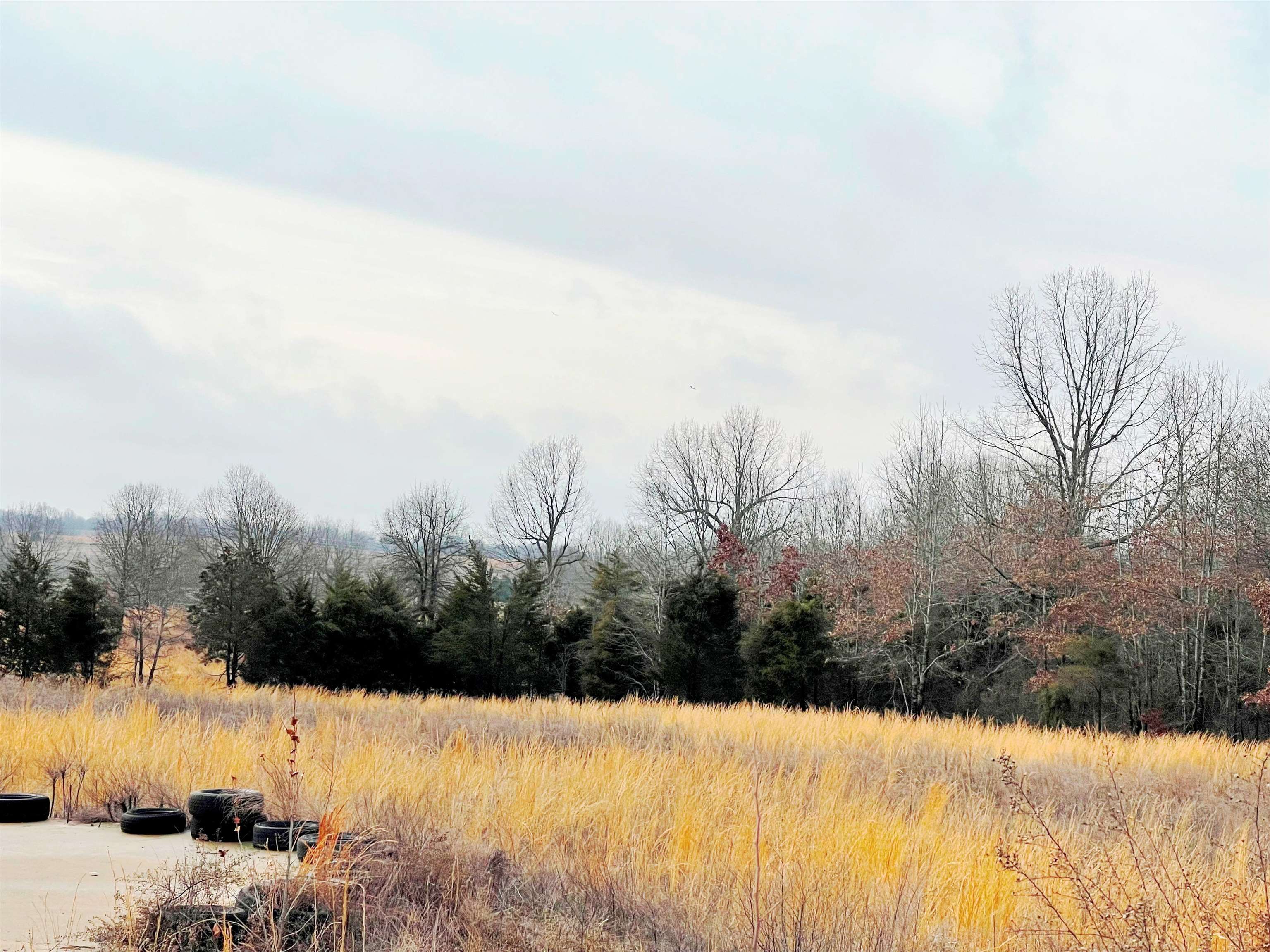 Photo 17 - Commercial / Industrial for sale – 2530  Hwy 62/412   Highland, AR