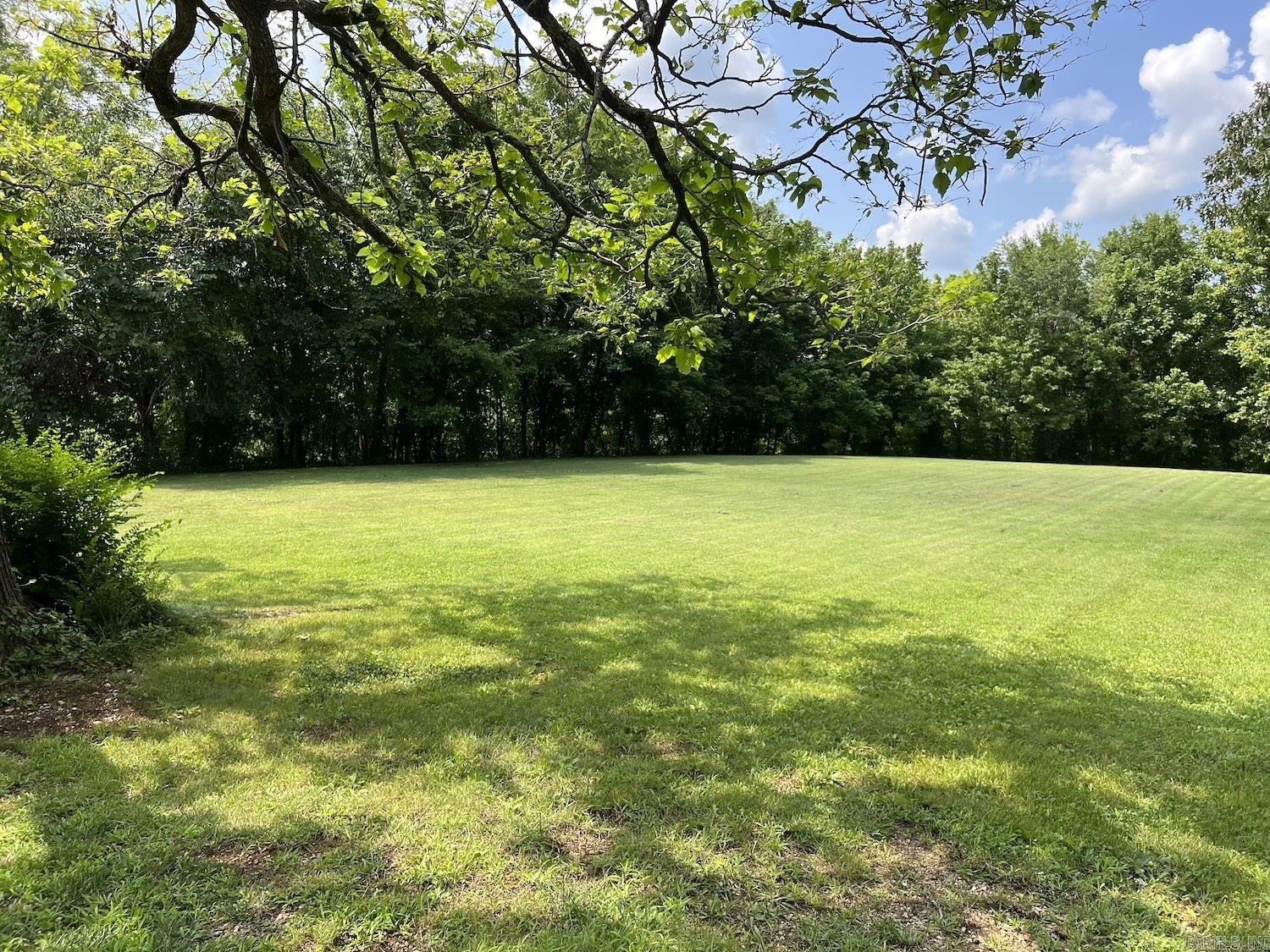 Photo 5 - Vacant Land for sale – 00012  Main Street   Mammoth Spring, AR