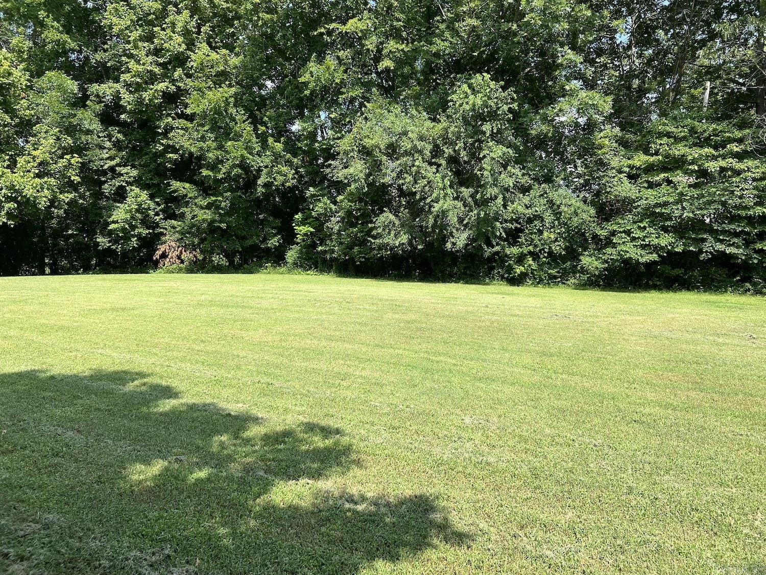 Photo 7 - Vacant Land for sale – 00012  Main Street   Mammoth Spring, AR