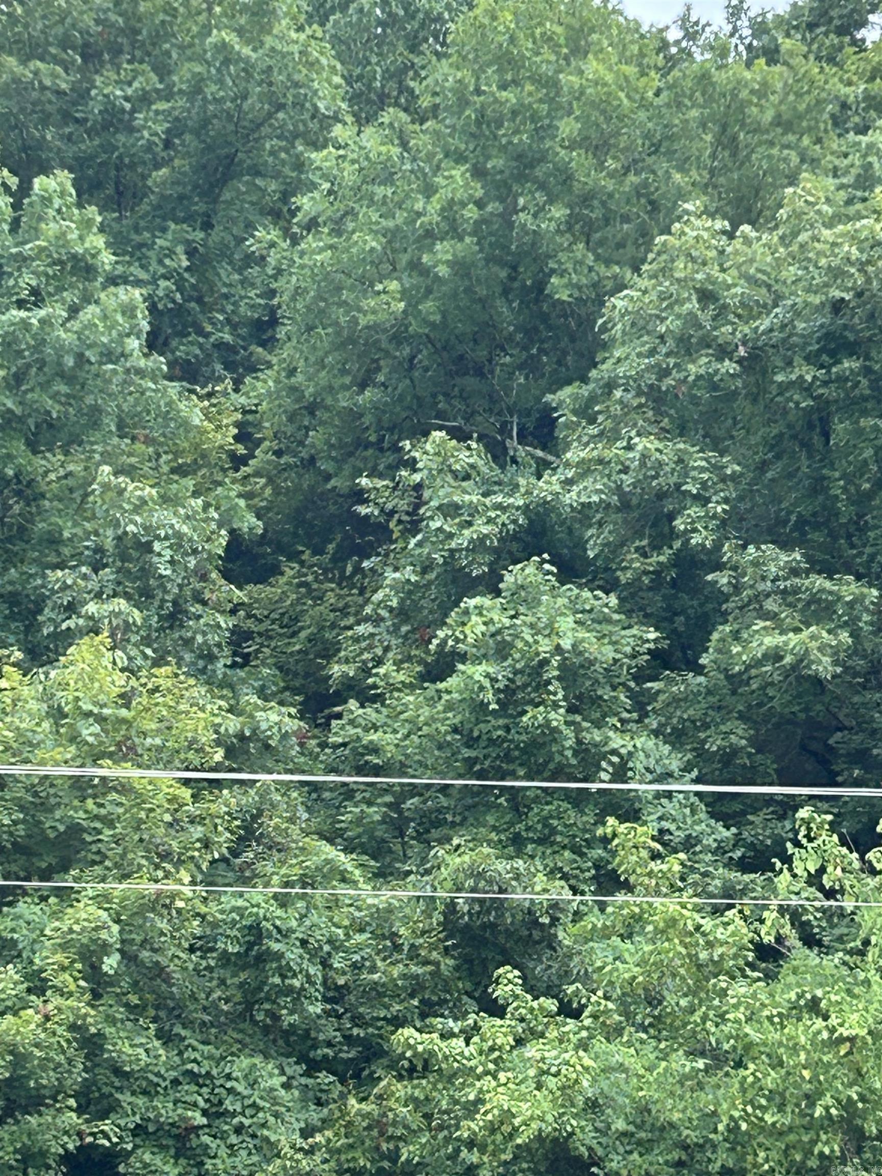 Photo 2 - Vacant Land for sale – 0  Buckaroo   Highland, AR