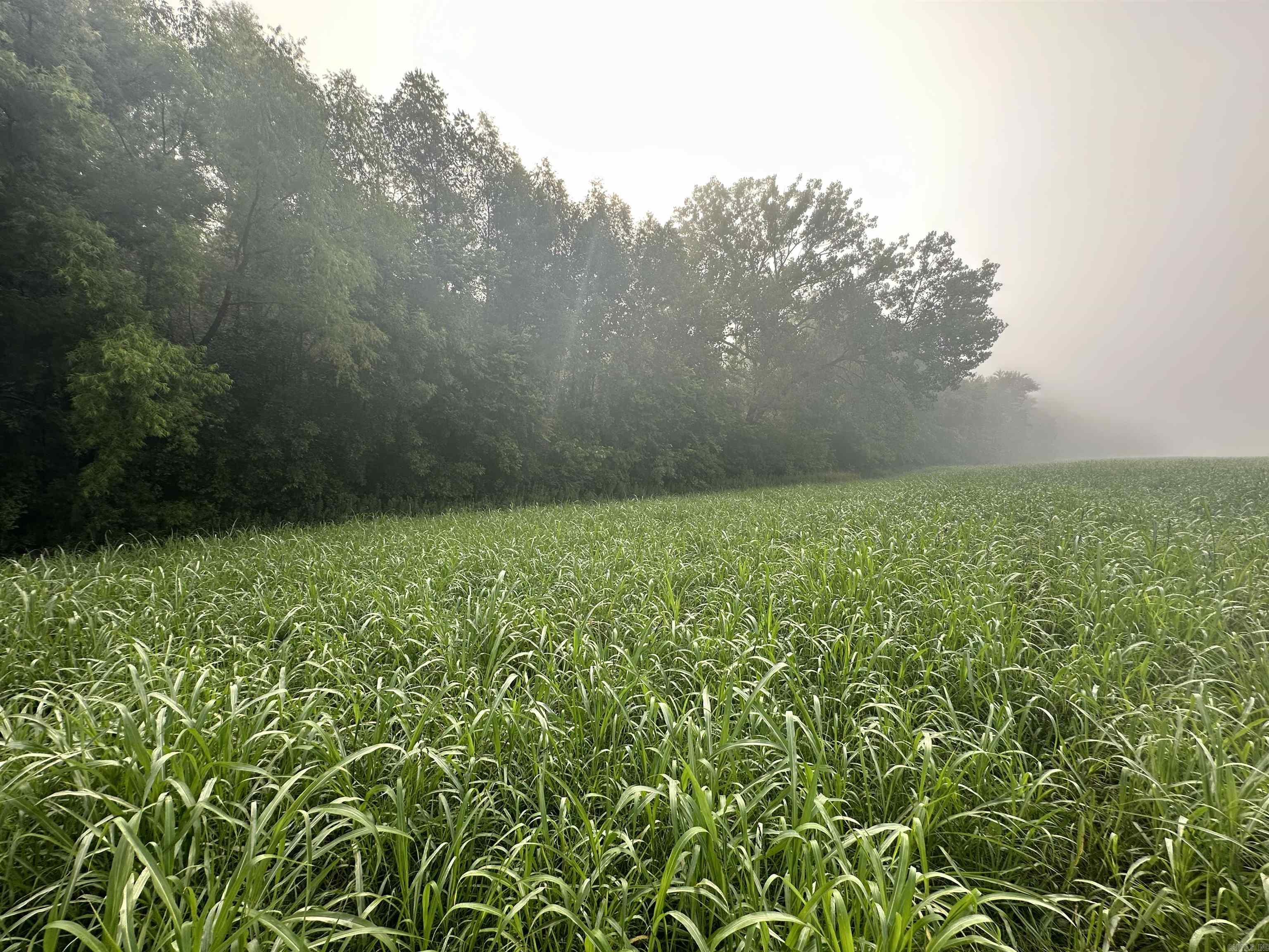 Photo 11 - Vacant Land for sale – 000  White River Run   Guion, AR