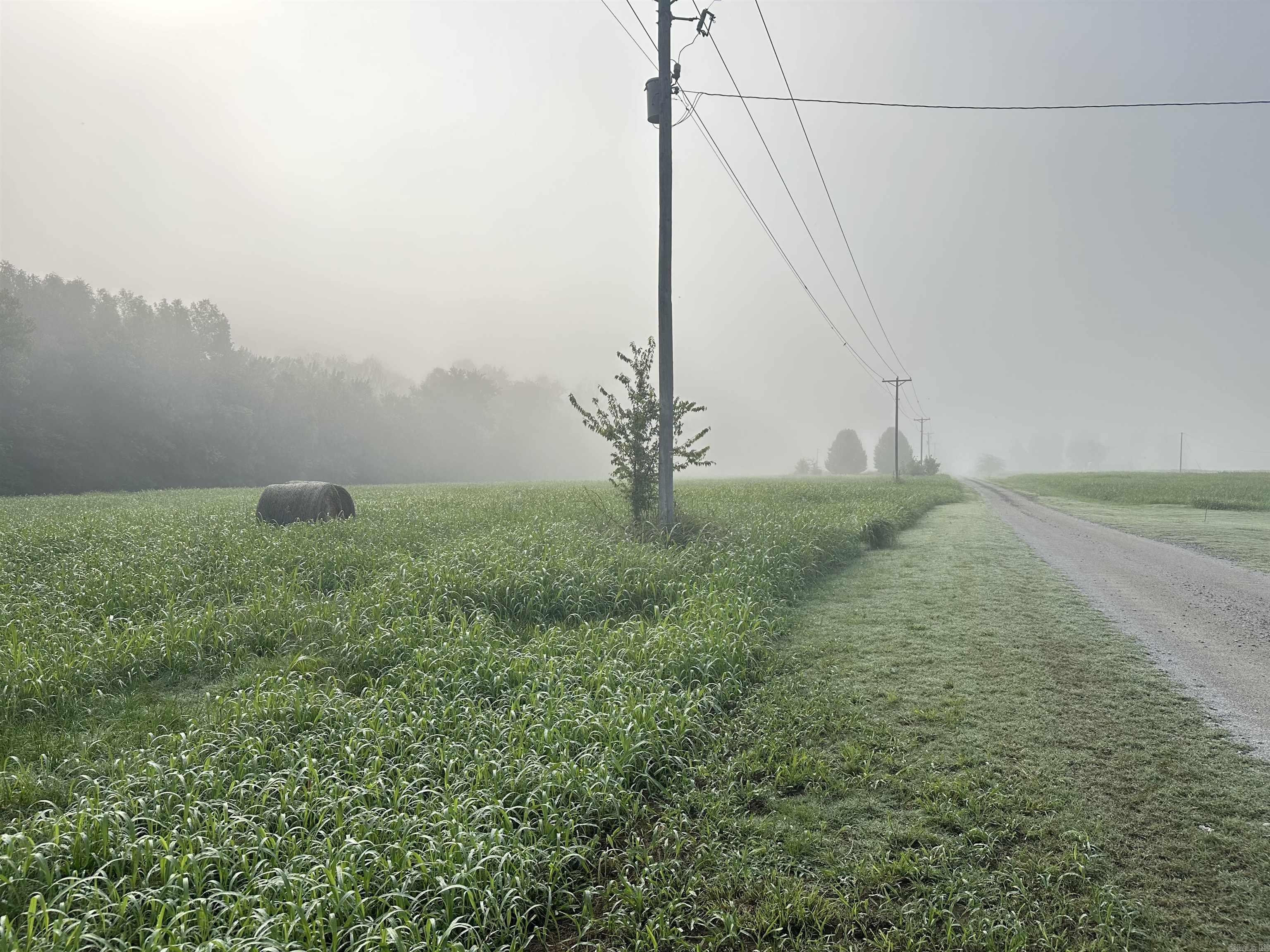 Photo 7 - Vacant Land for sale – 000  White River Run   Guion, AR