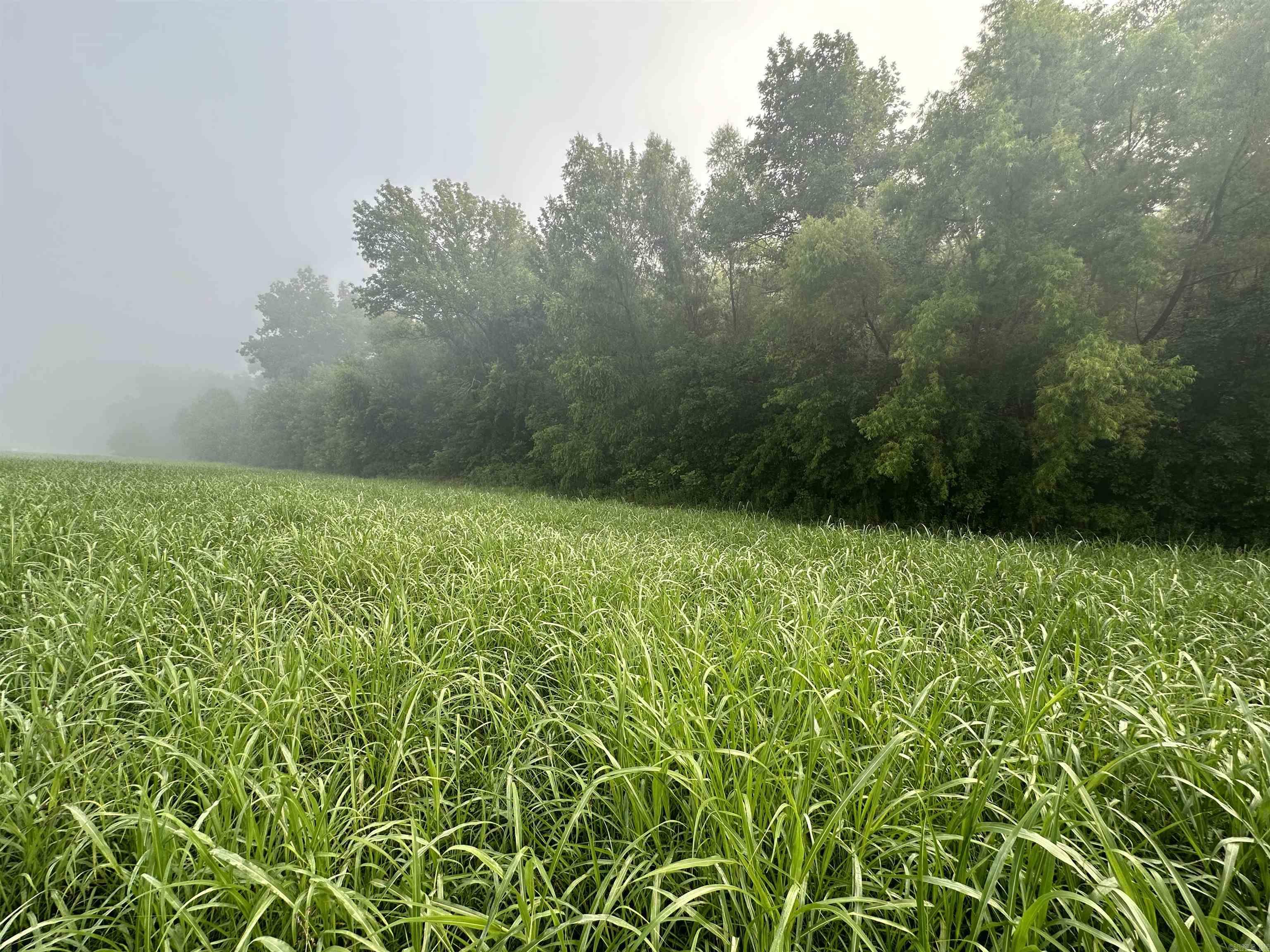 Photo 10 - Vacant Land for sale – 000  White River Run   Guion, AR
